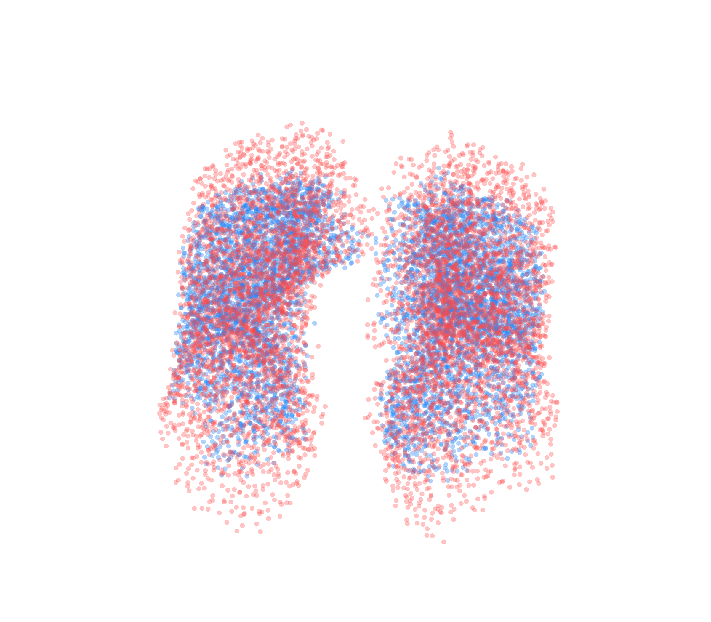 Point Cloud - Front View