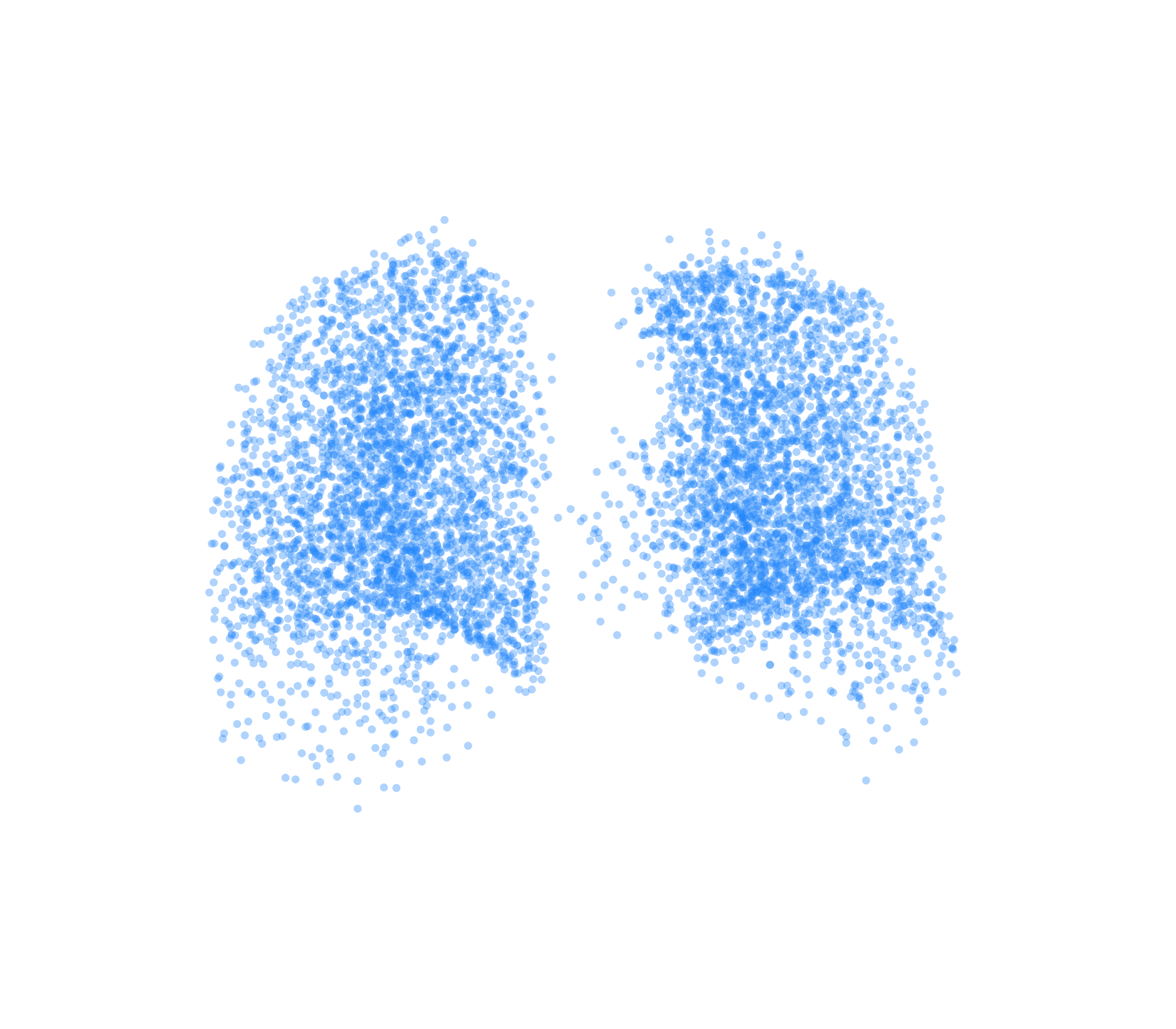 Point Cloud (Inspiration) - Back View