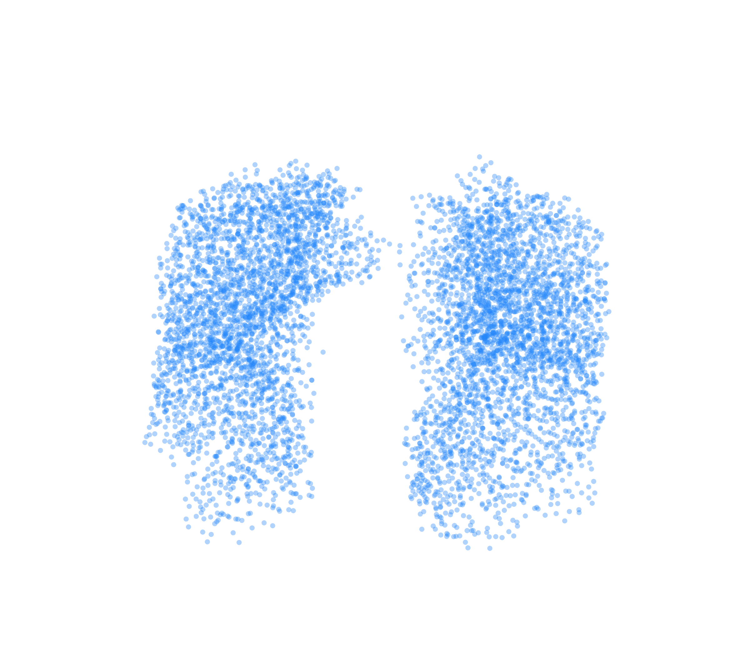 Point Cloud (Inspiration) - Front View