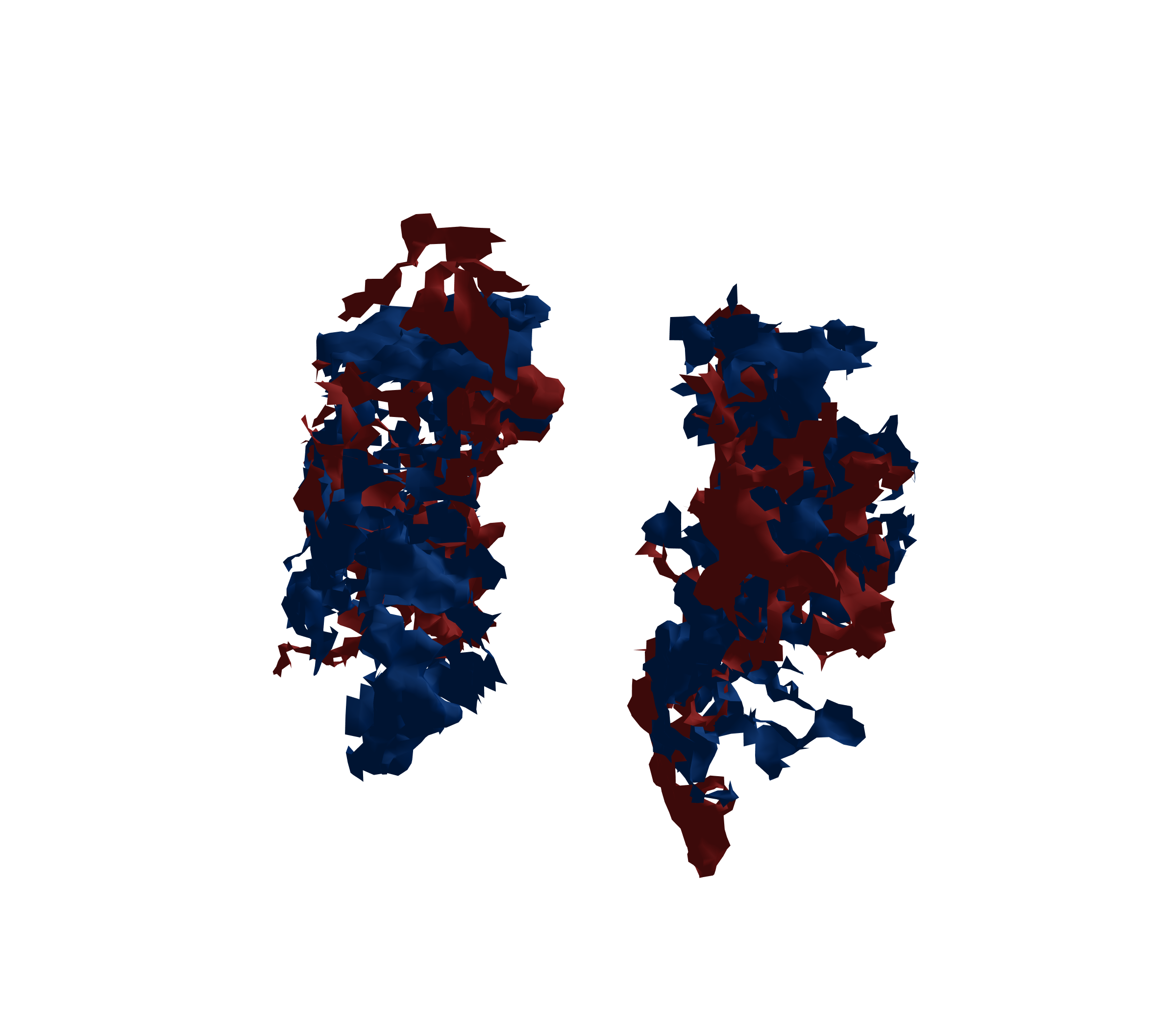 Surface Mesh - Front View