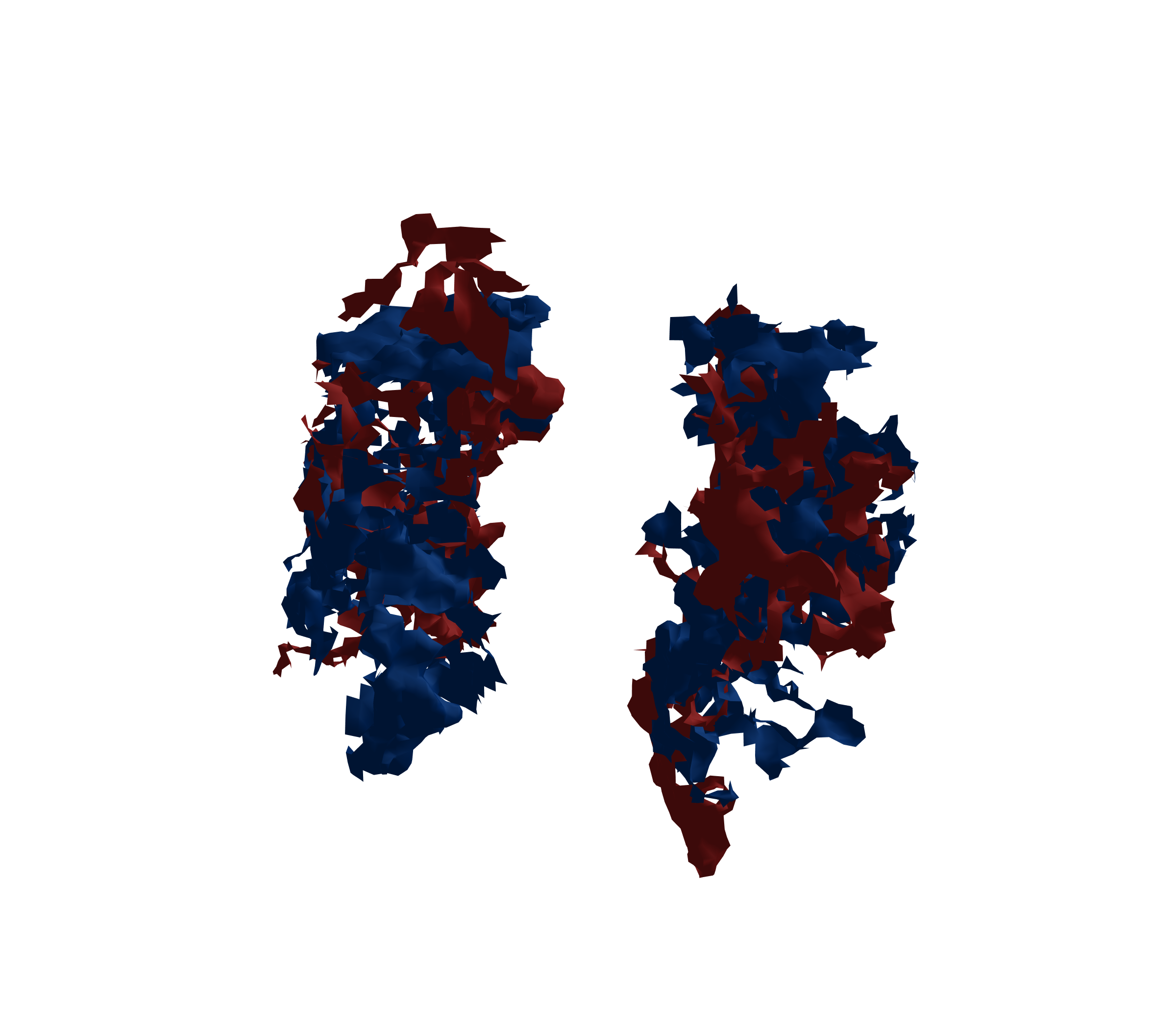 Surface Mesh - Front View
