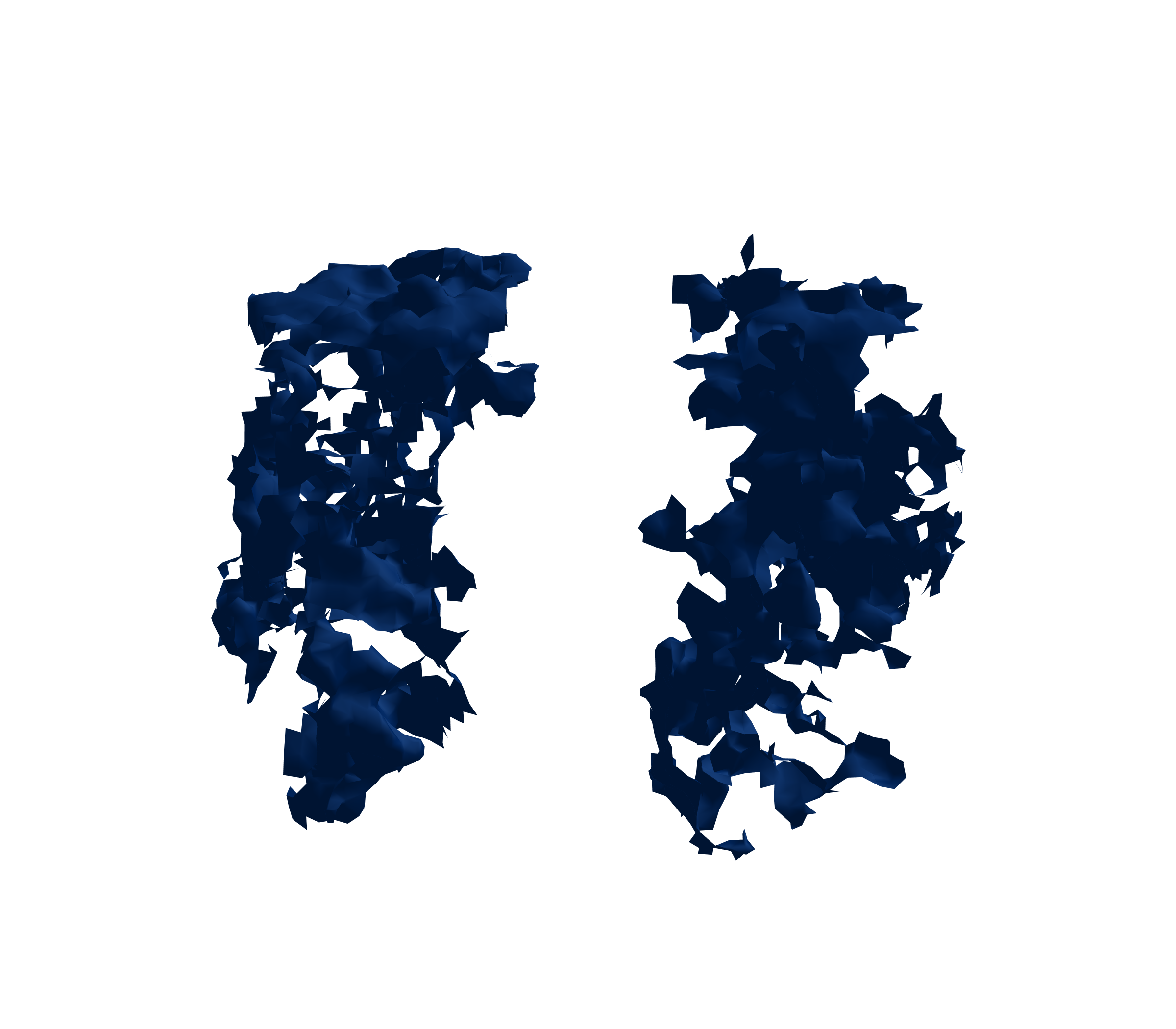 Surface Mesh (Inspiration) - Front View