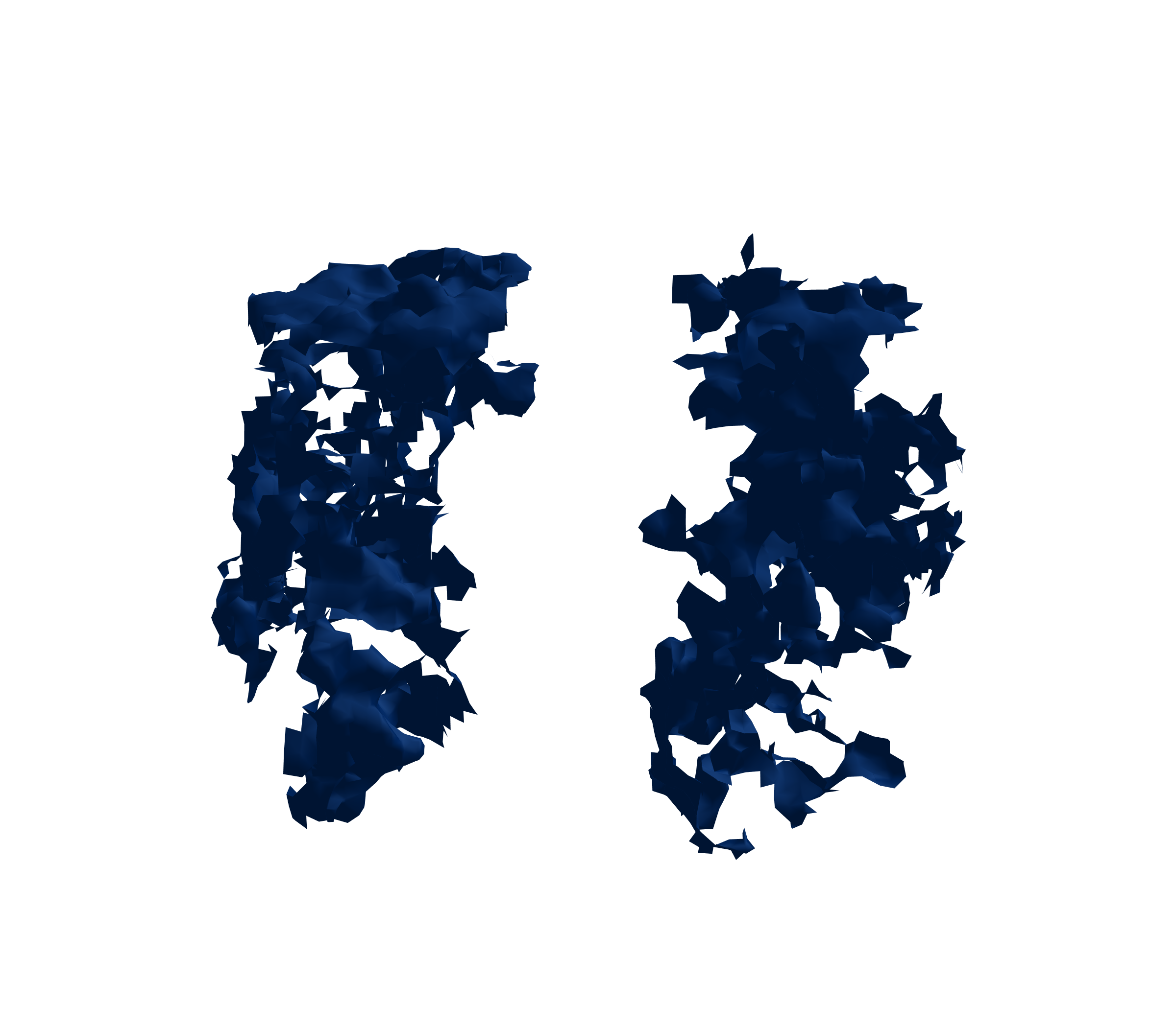 Surface Mesh (Inspiration) - Front View