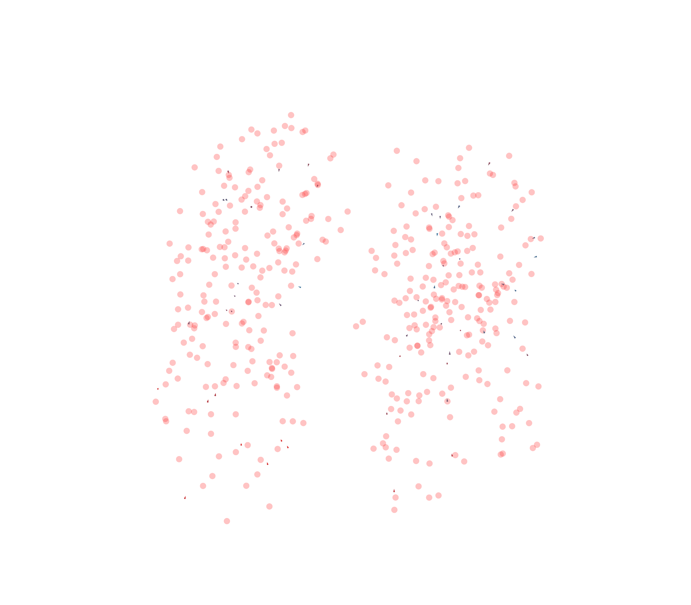 Displacement Vectors - Front View