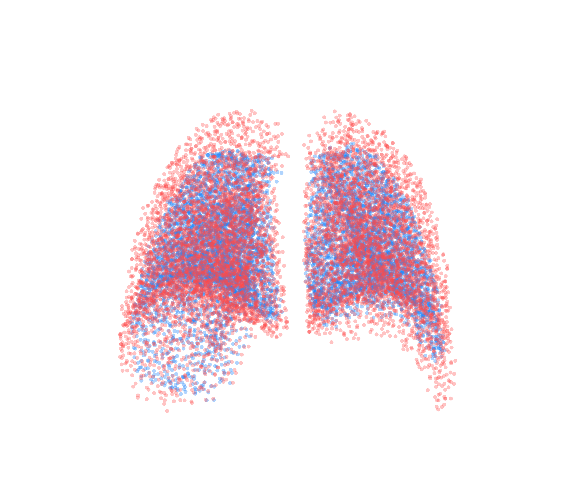 Point Cloud - Back View