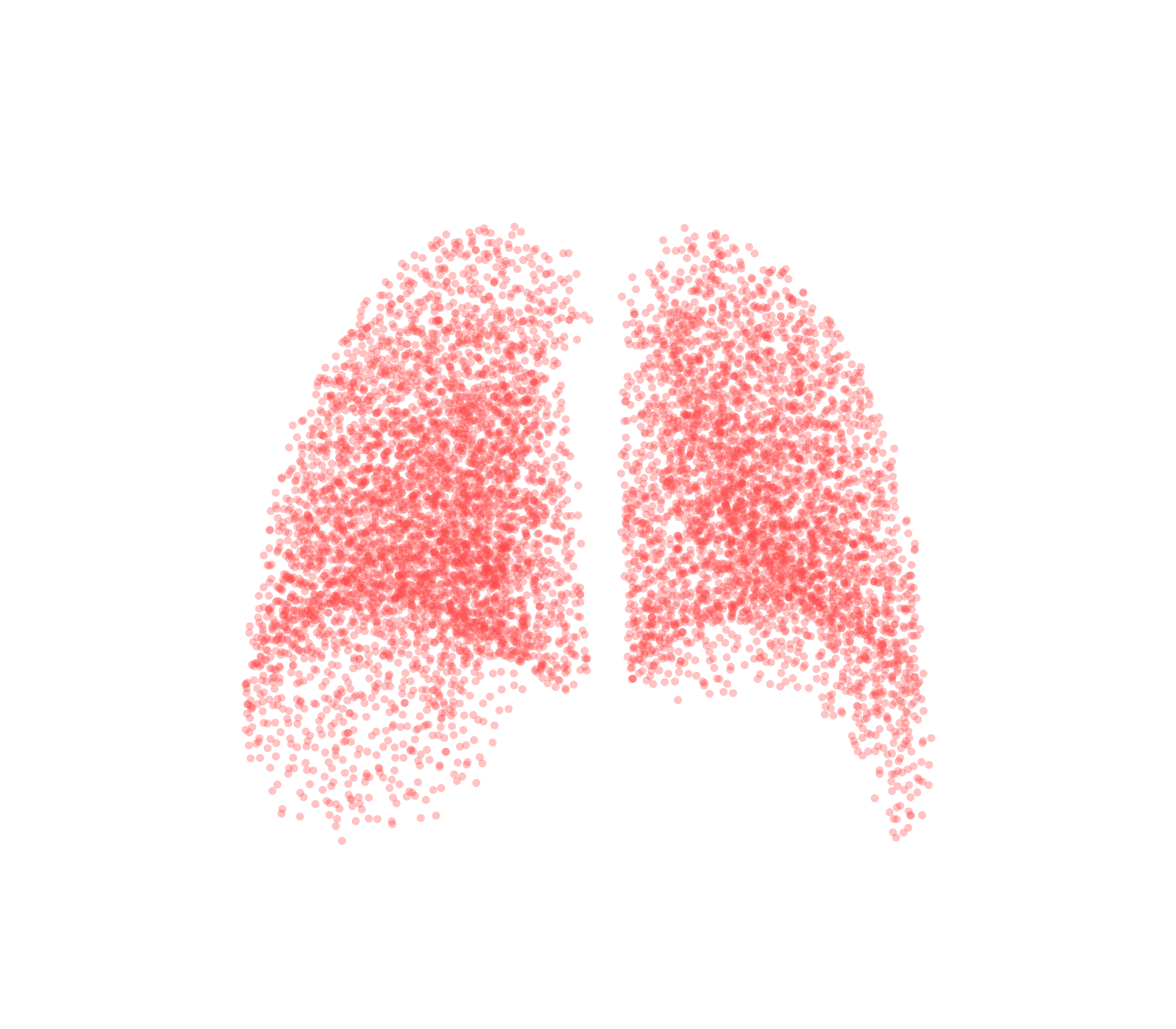 Point Cloud (Expiration) - Back View