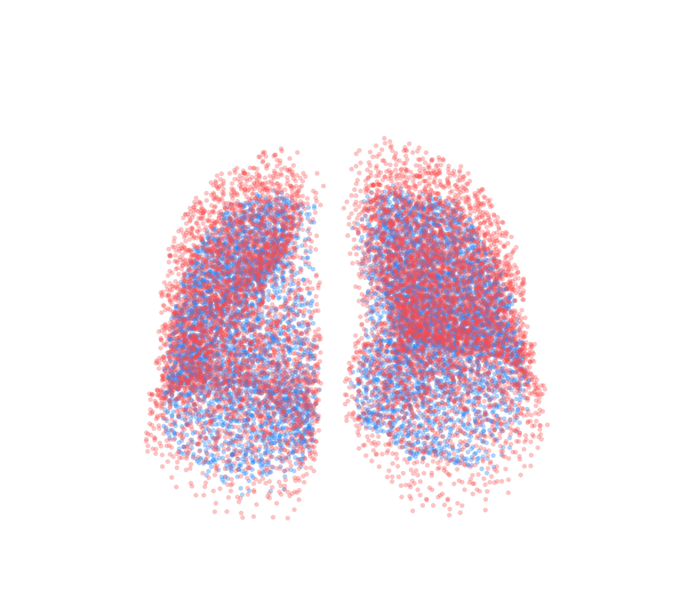 Point Cloud - Front View