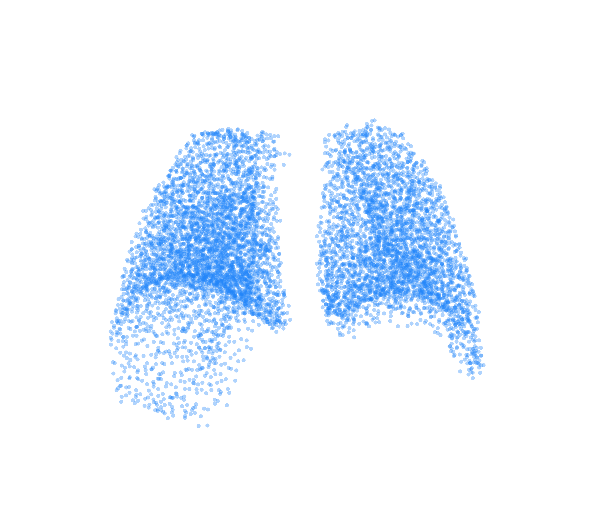 Point Cloud (Inspiration) - Back View