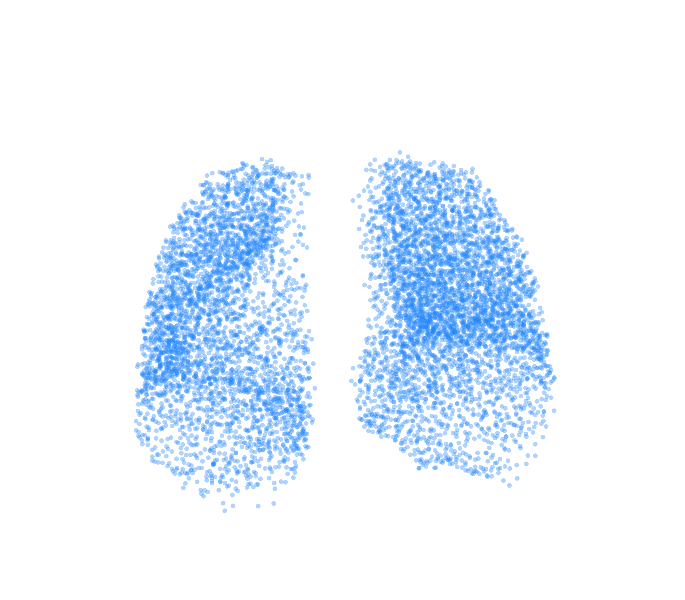 Point Cloud (Inspiration) - Front View