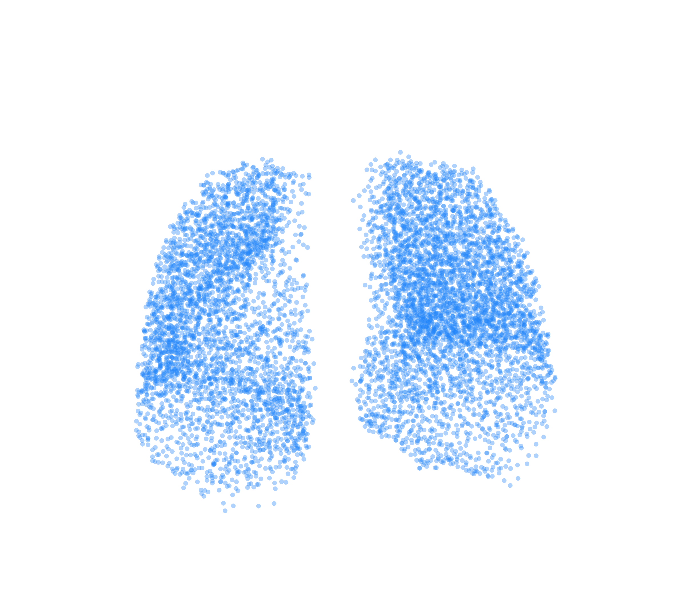Point Cloud (Inspiration) - Front View