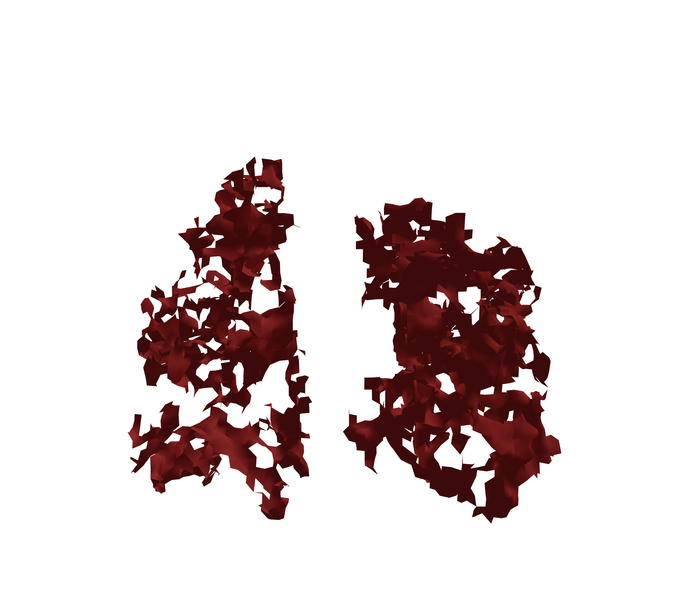 Surface Mesh (Expiration) - Front View