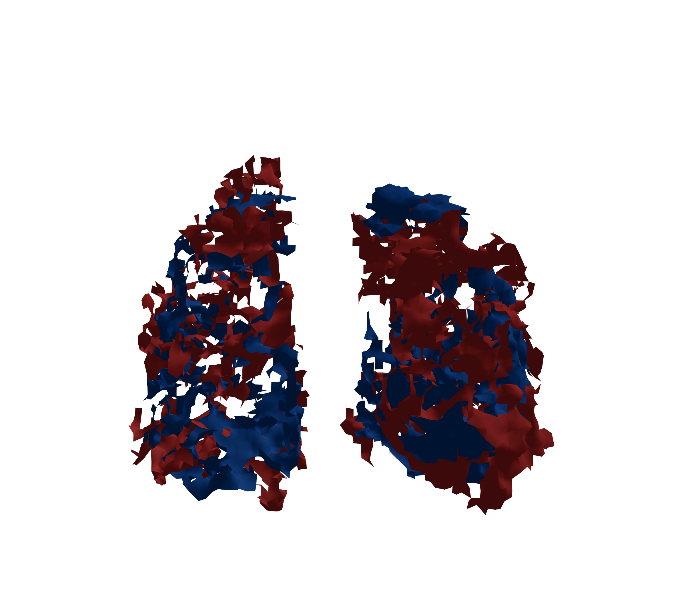 Surface Mesh - Front View