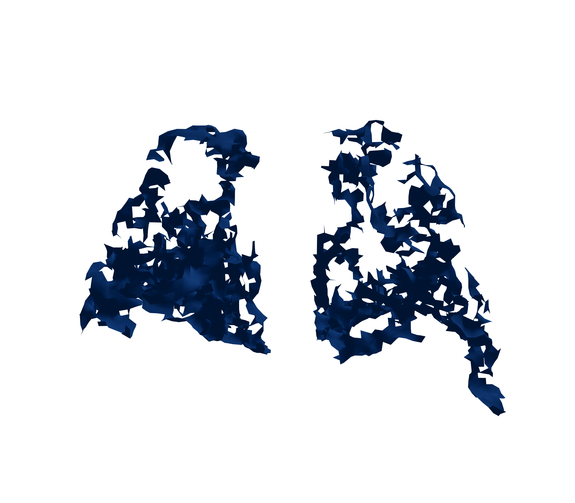 Surface Mesh (Inspiration) - Back View