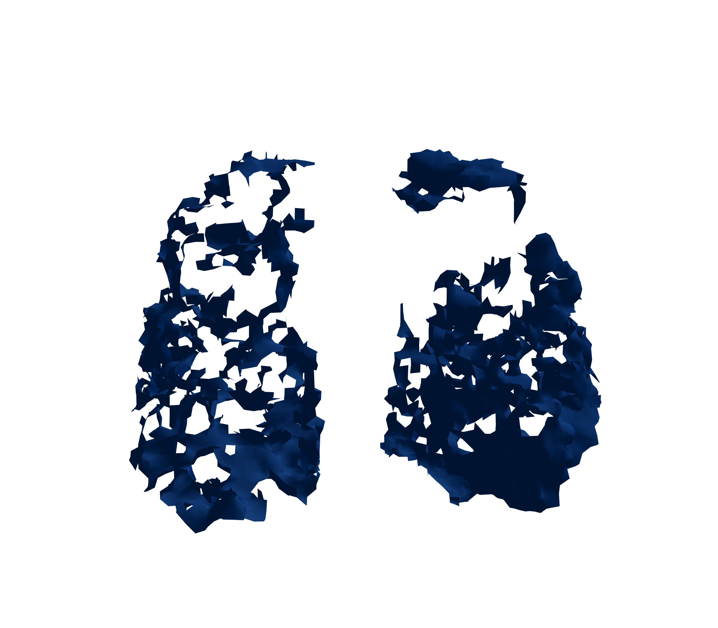 Surface Mesh (Inspiration) - Front View