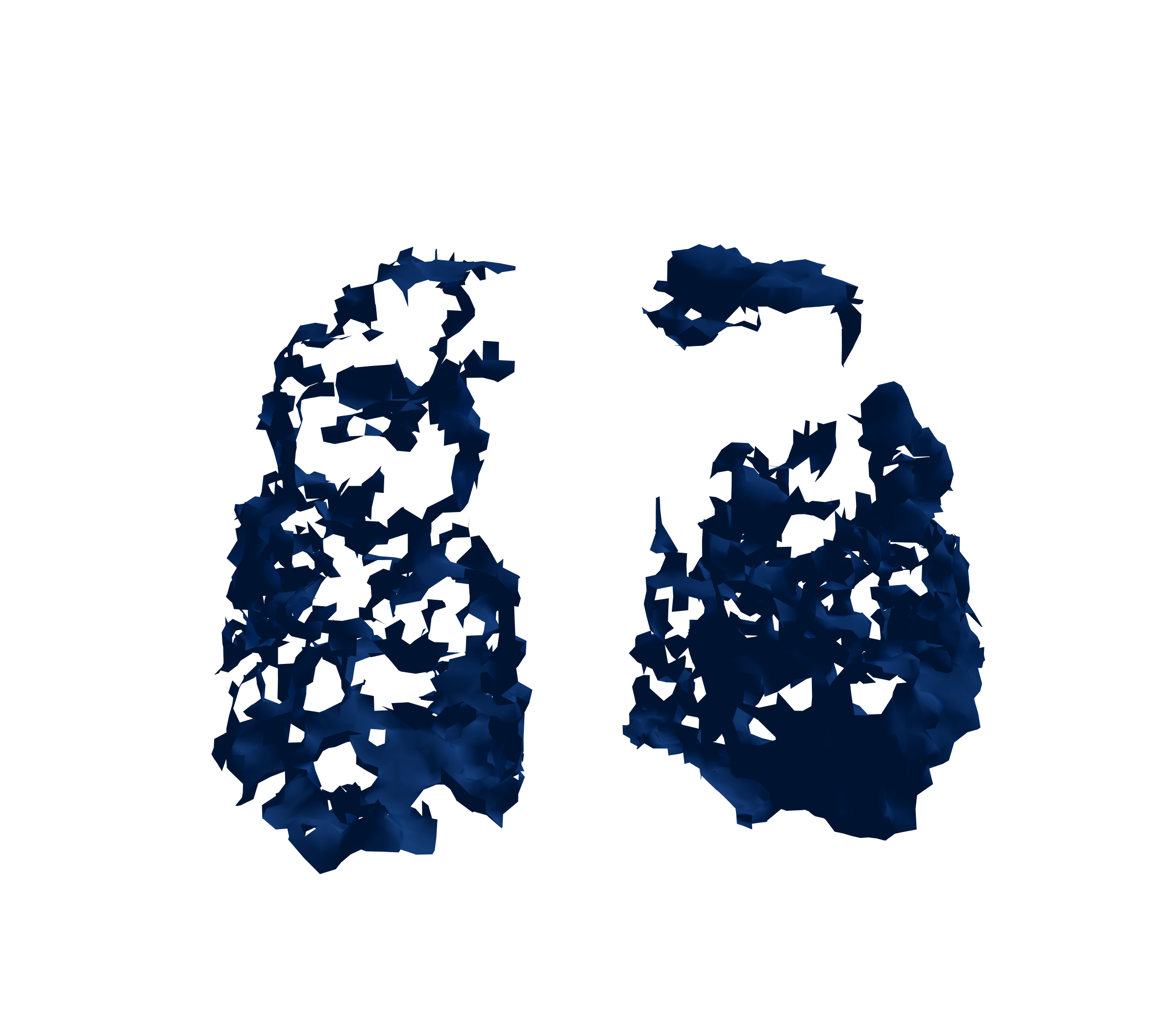 Surface Mesh (Inspiration) - Front View