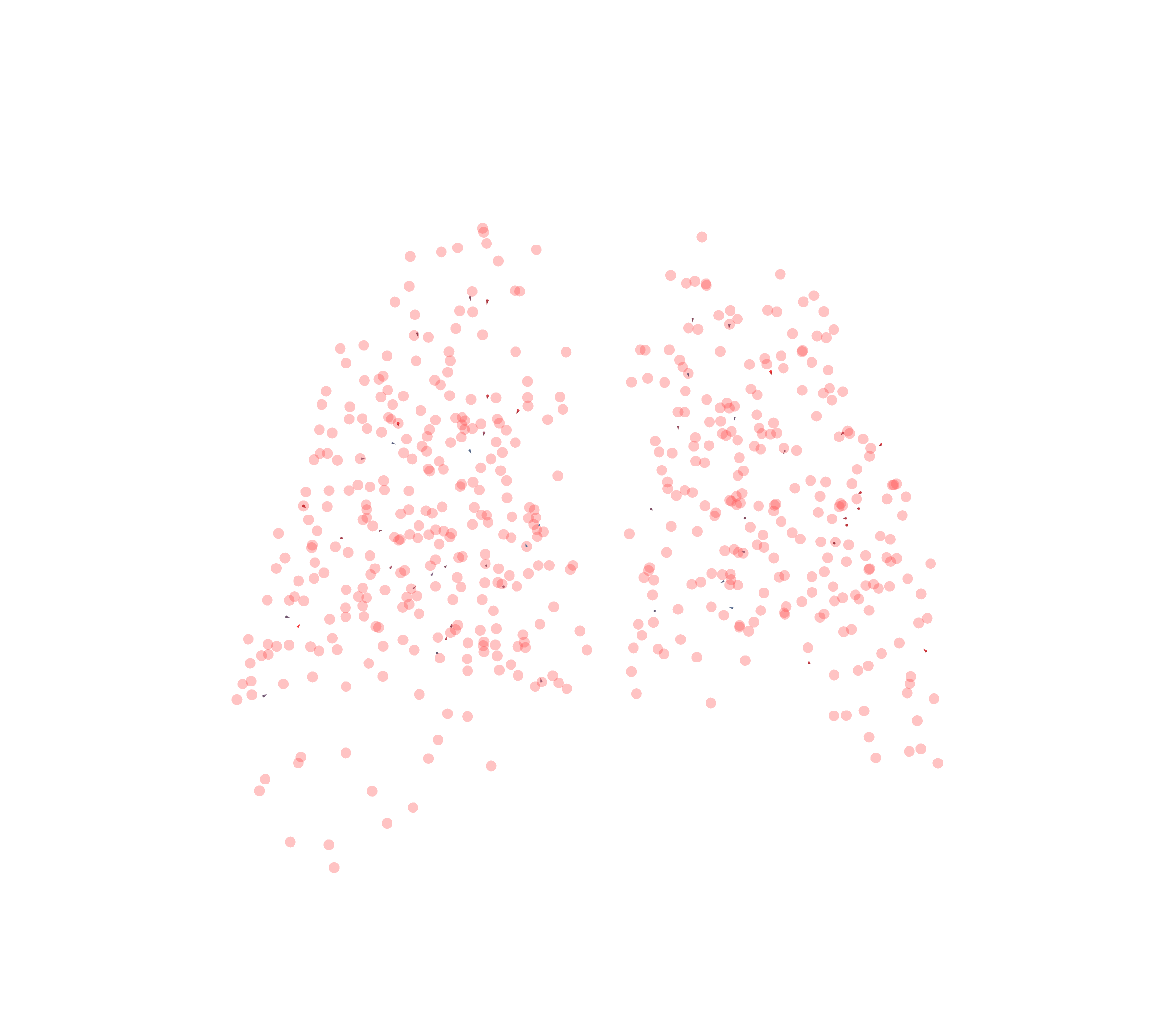 Displacement Vectors - Back View