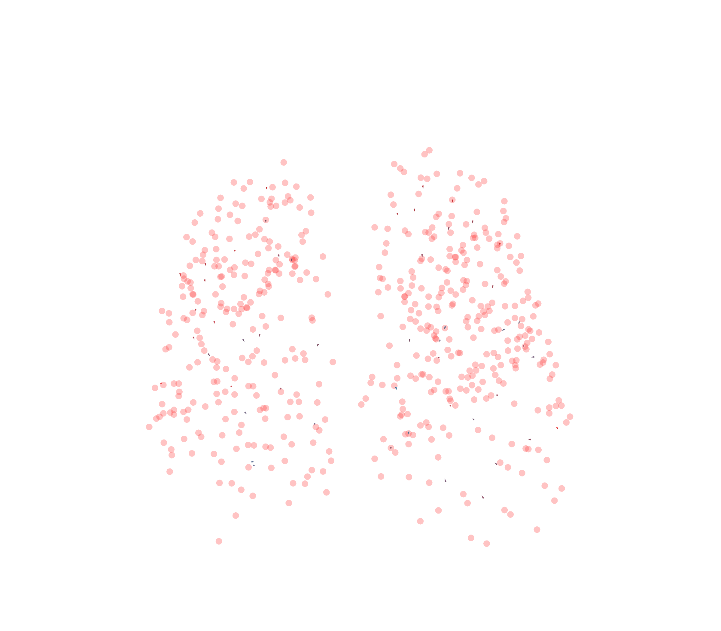 Displacement Vectors - Front View
