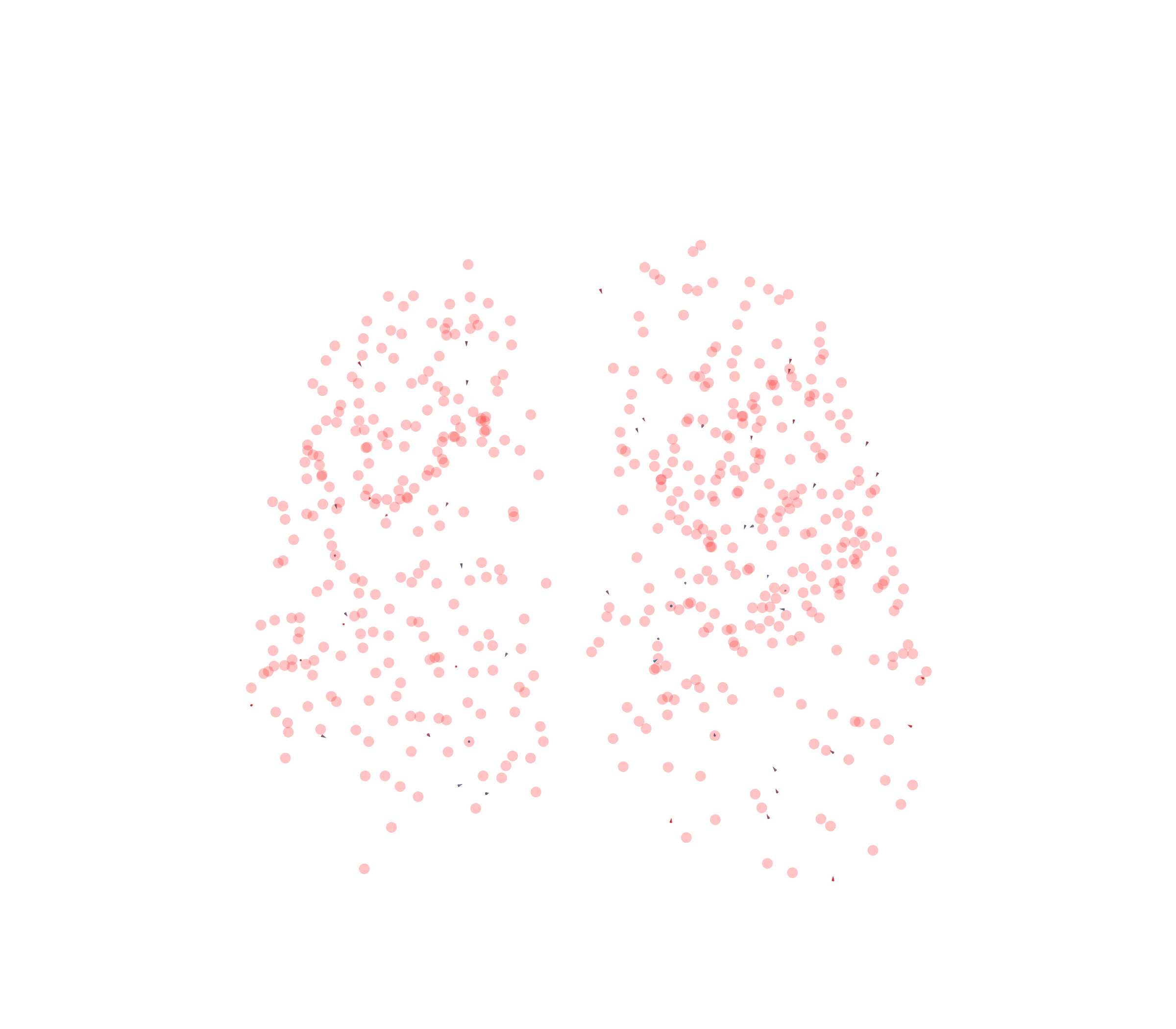 Displacement Vectors - Front View