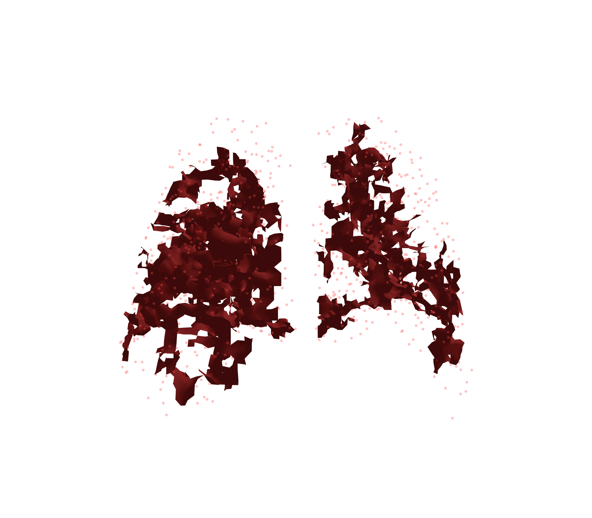 Combined Visualization (Expiration) - Back View