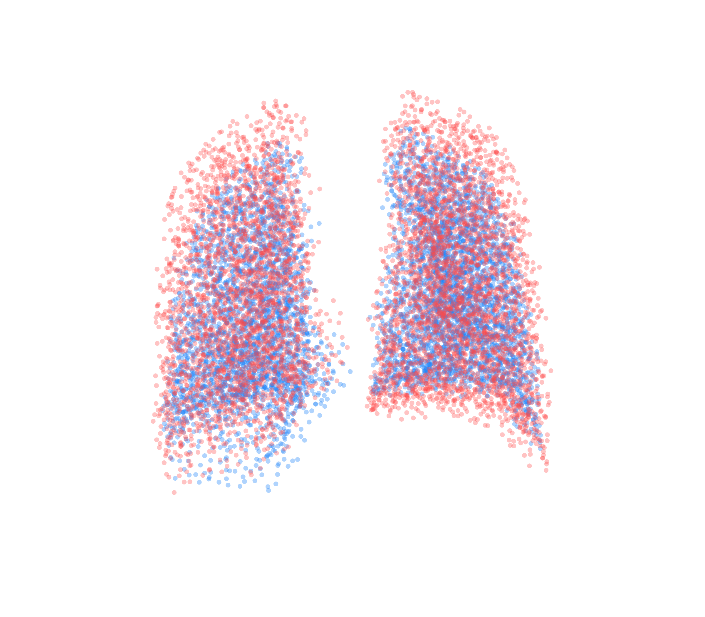 Point Cloud - Back View