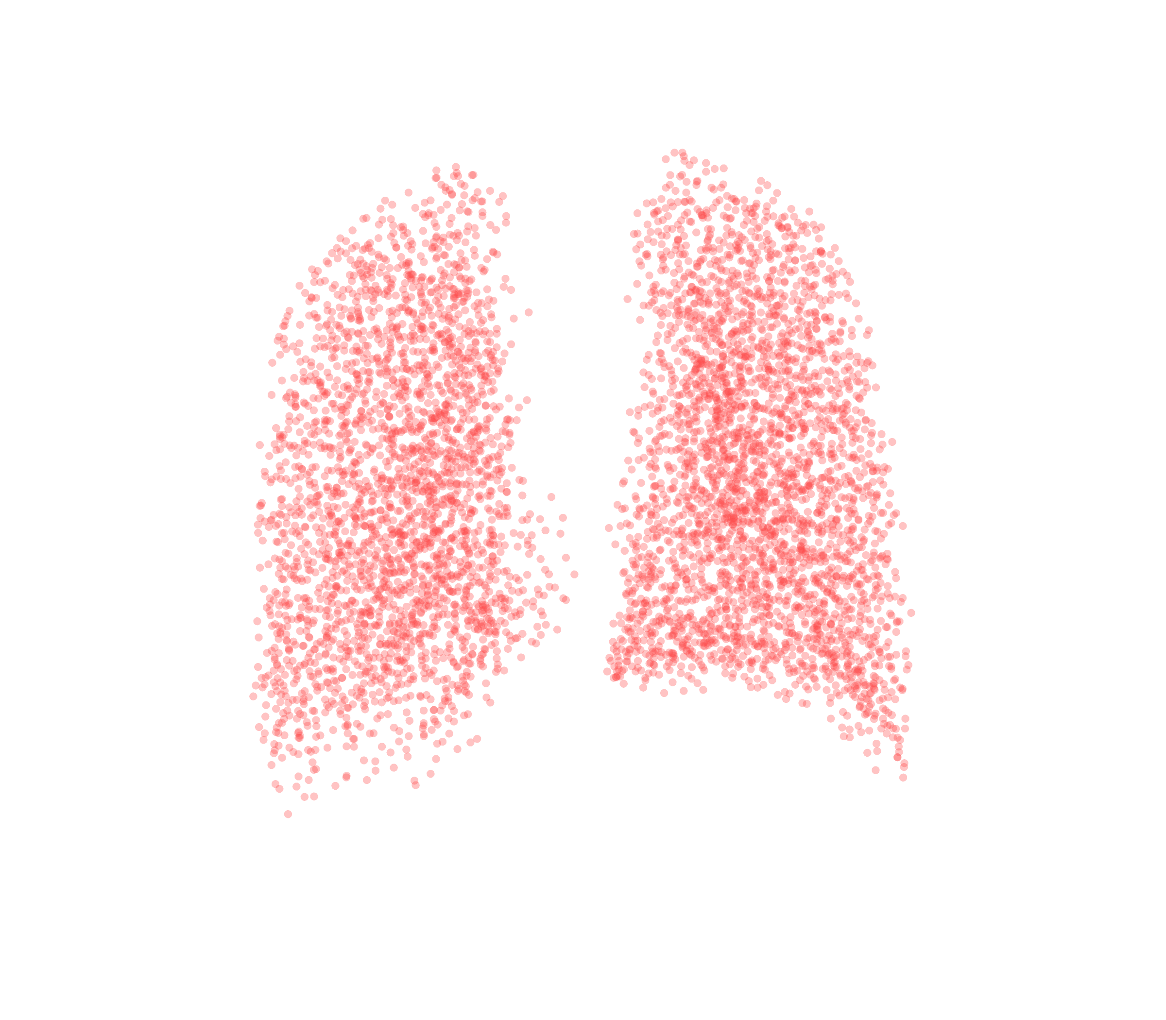 Point Cloud (Expiration) - Back View