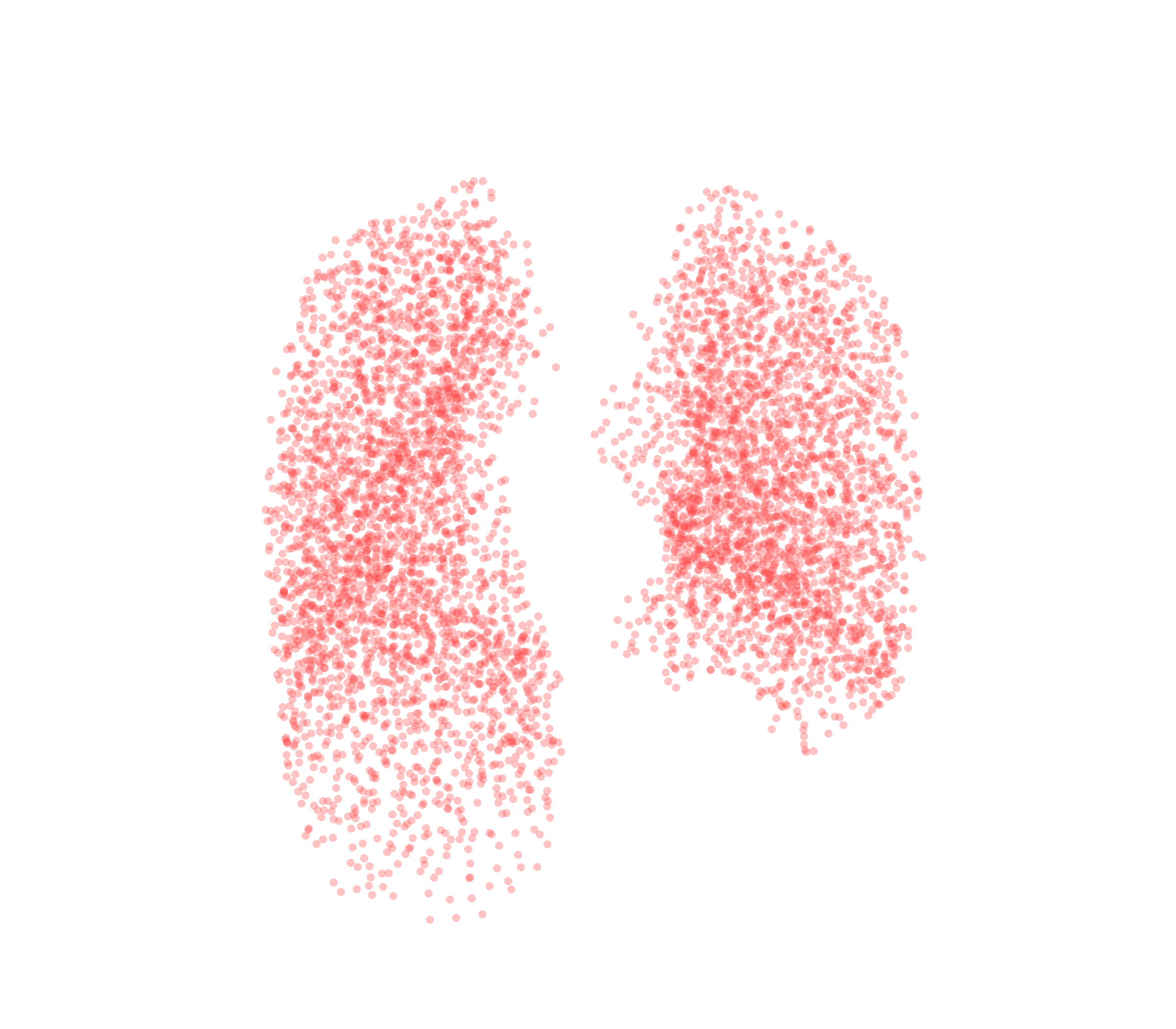 Point Cloud (Expiration) - Front View