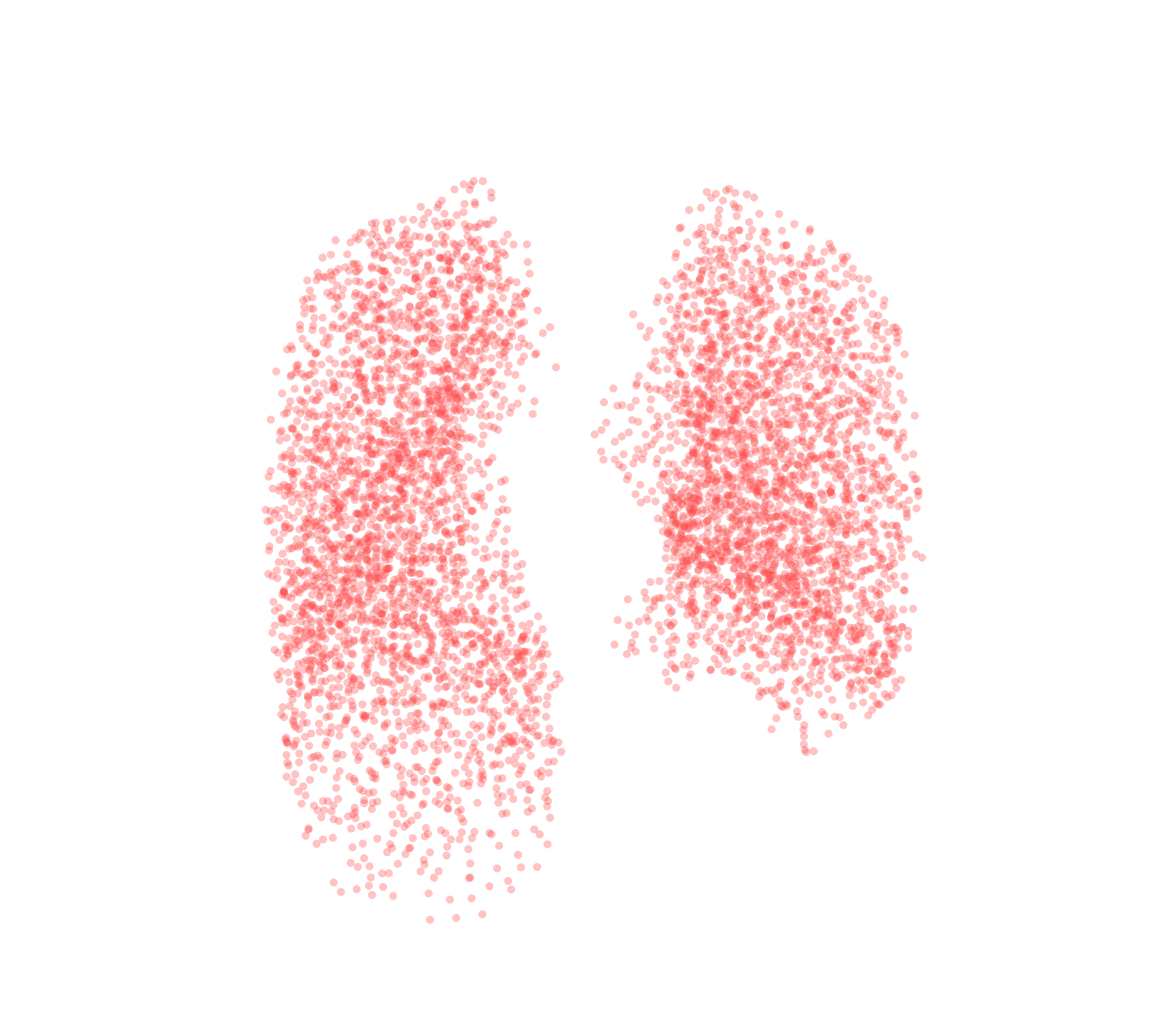 Point Cloud (Expiration) - Front View