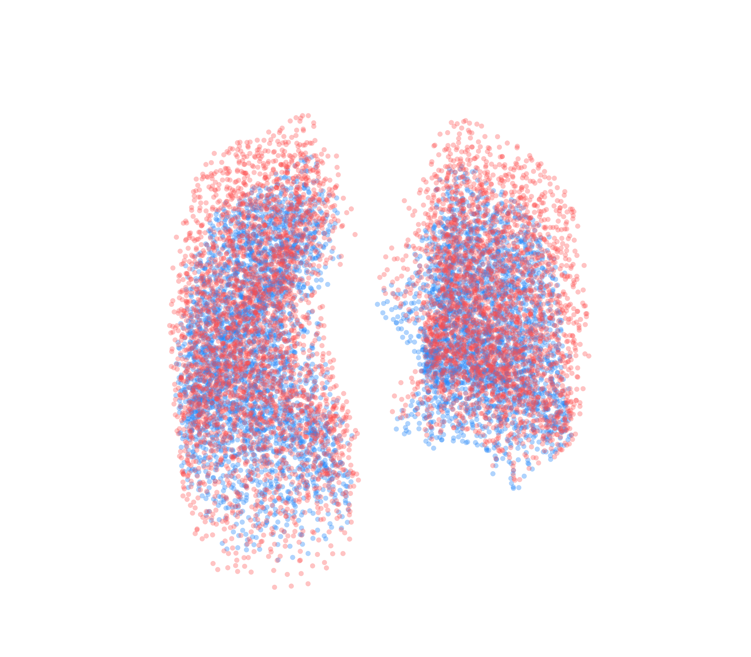 Point Cloud - Front View