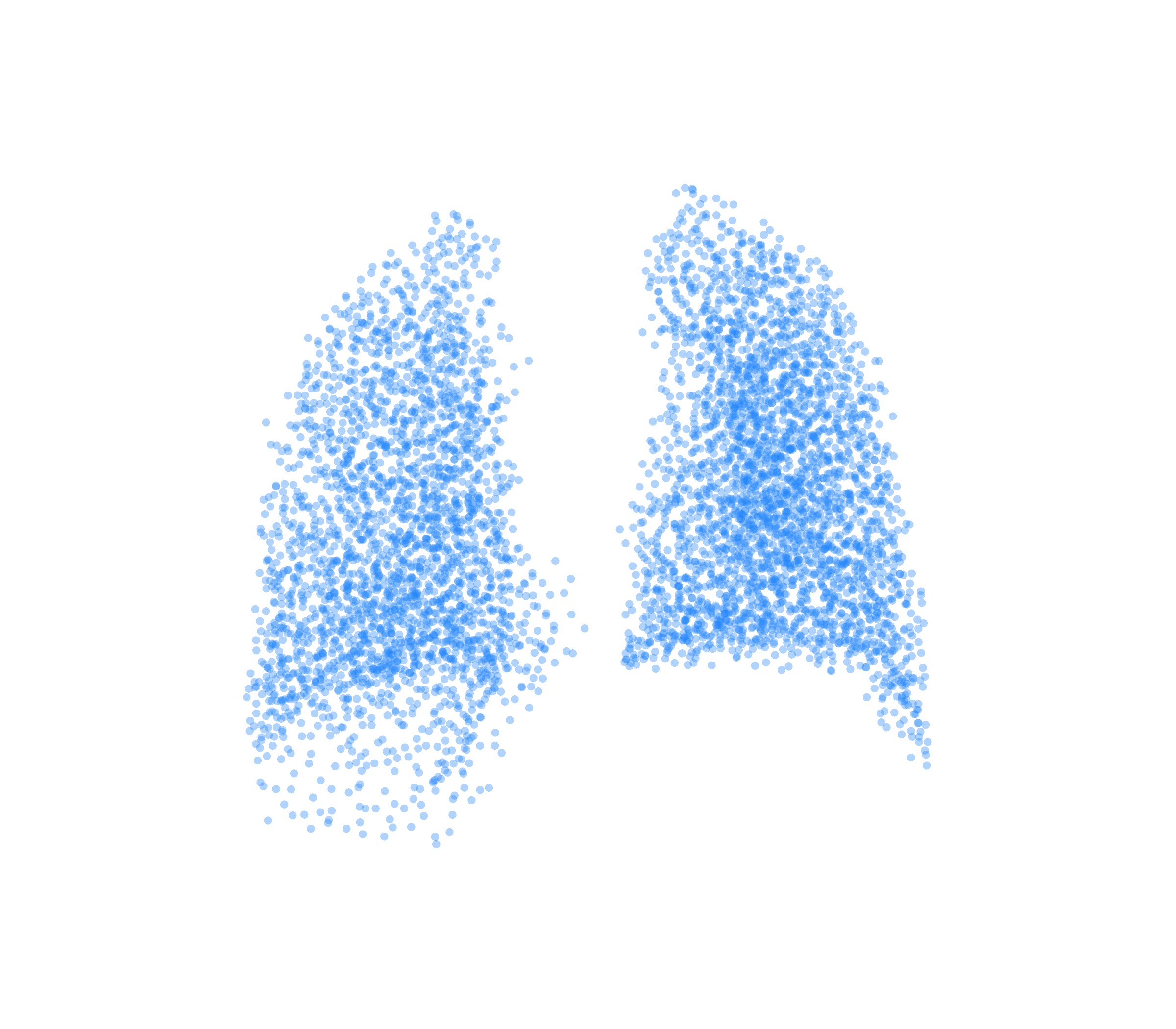 Point Cloud (Inspiration) - Back View