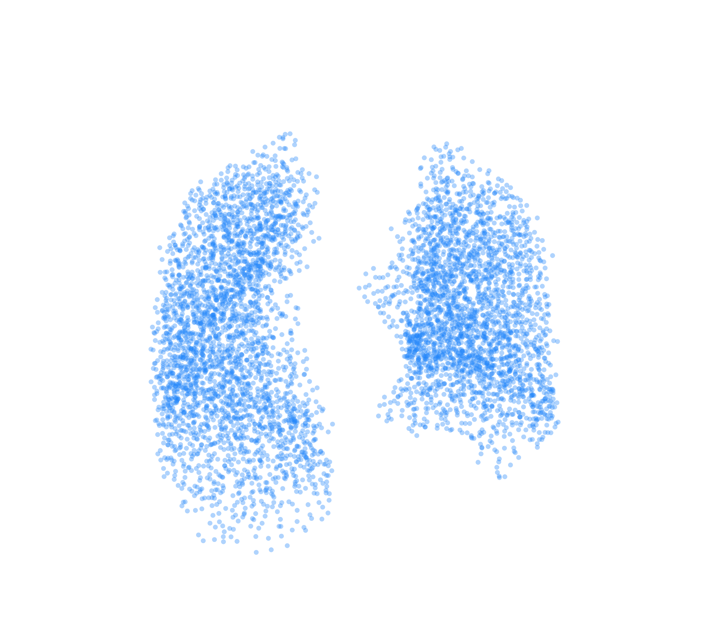 Point Cloud (Inspiration) - Front View