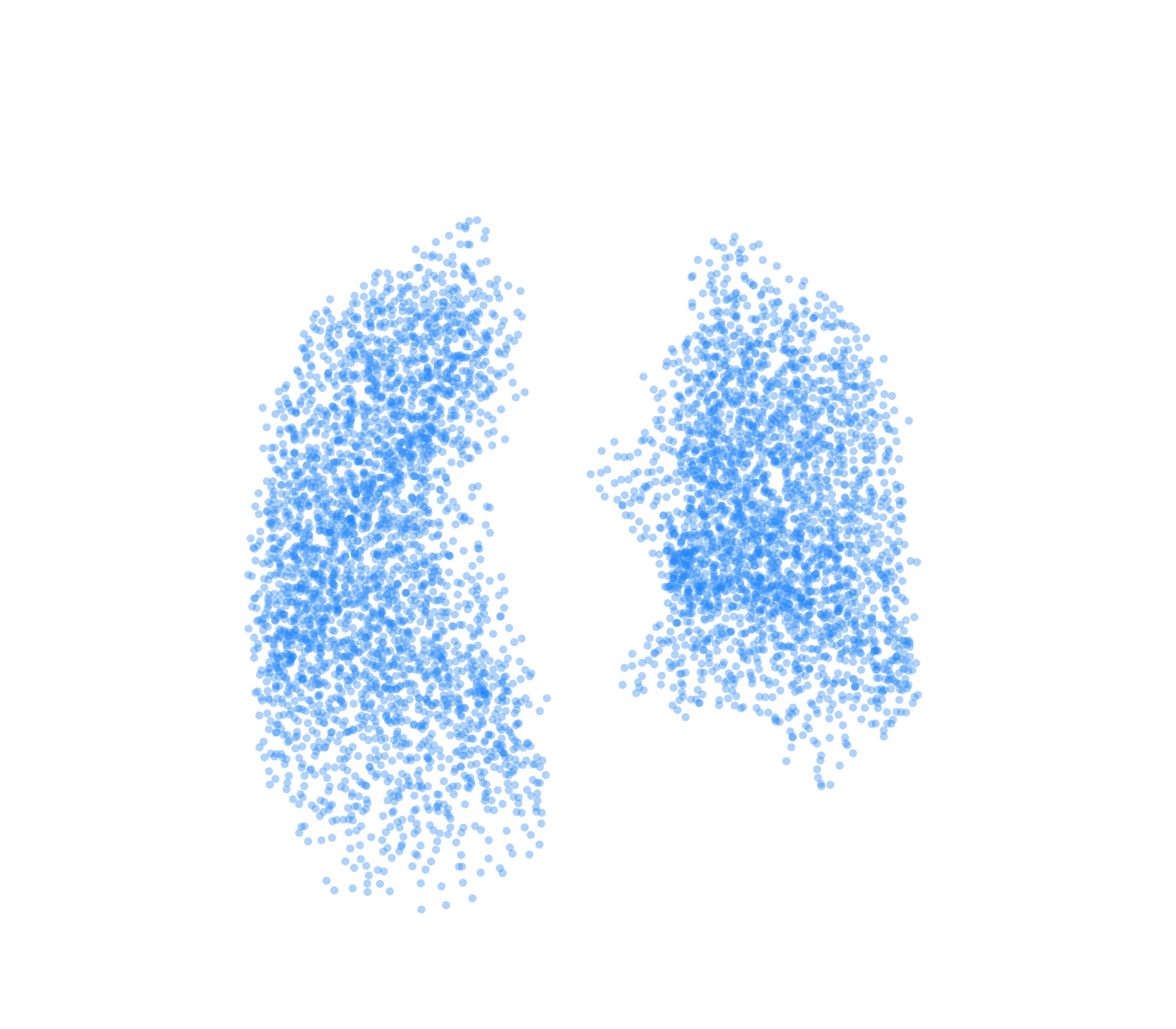 Point Cloud (Inspiration) - Front View