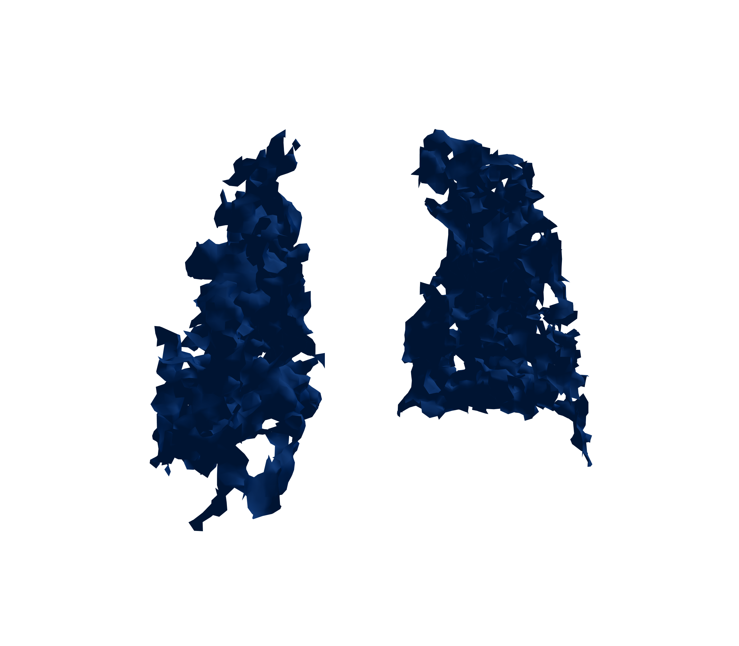 Surface Mesh (Inspiration) - Back View