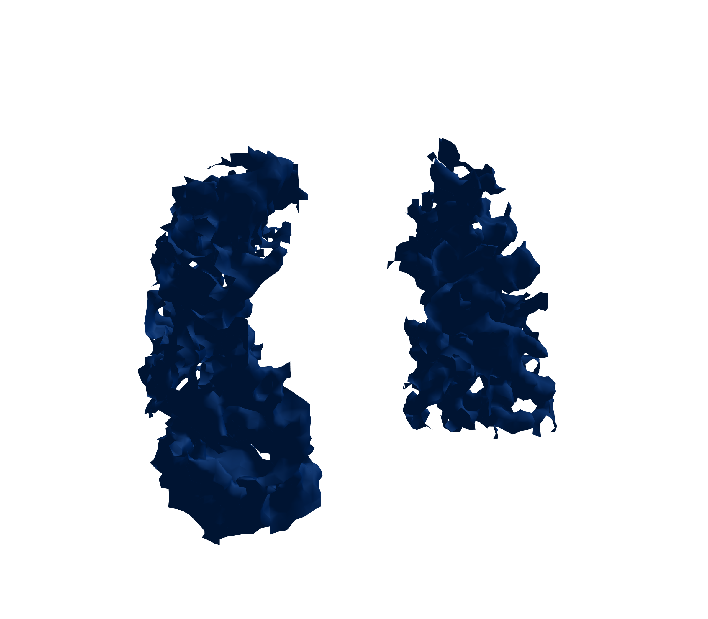 Surface Mesh (Inspiration) - Front View