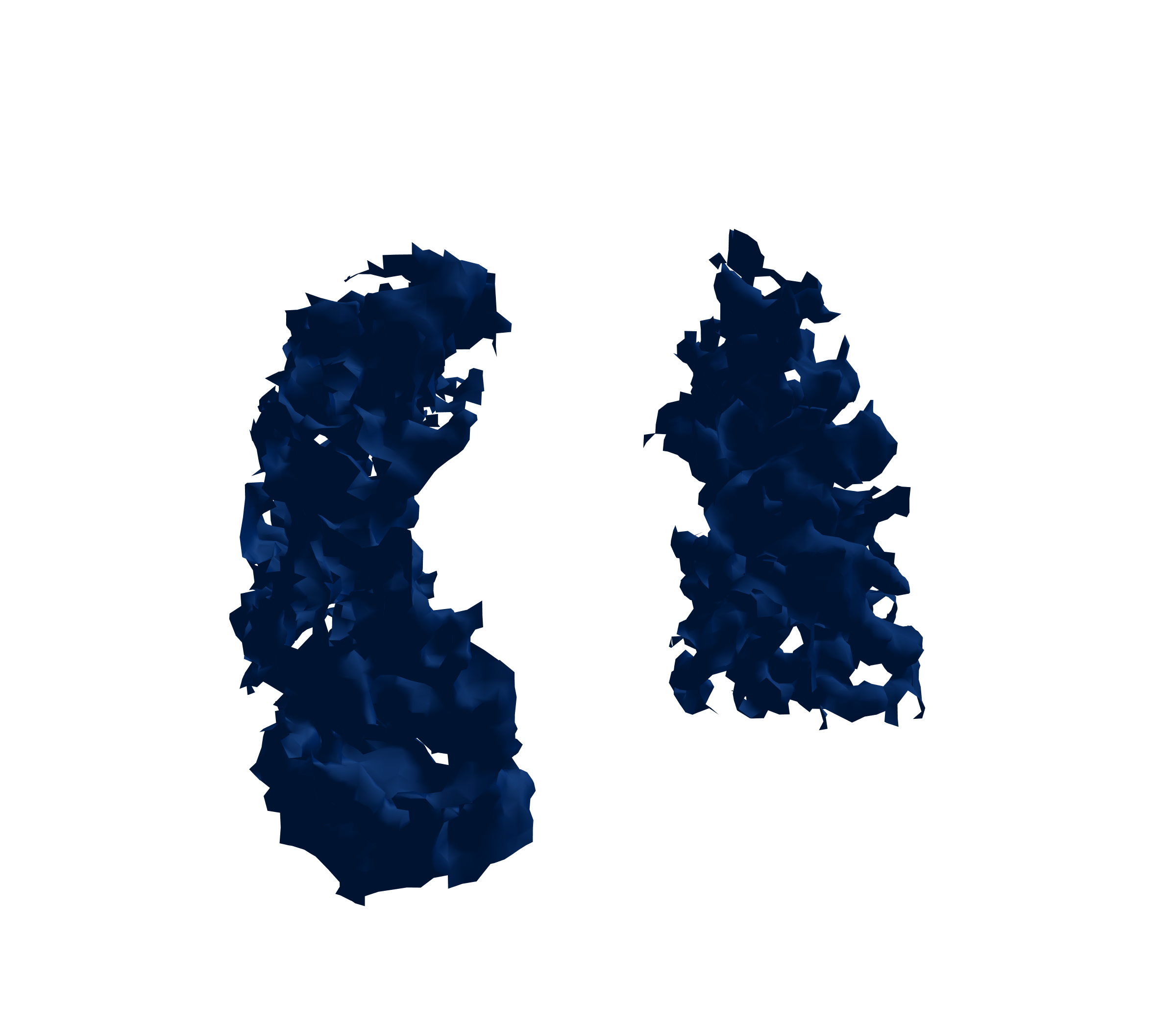 Surface Mesh (Inspiration) - Front View