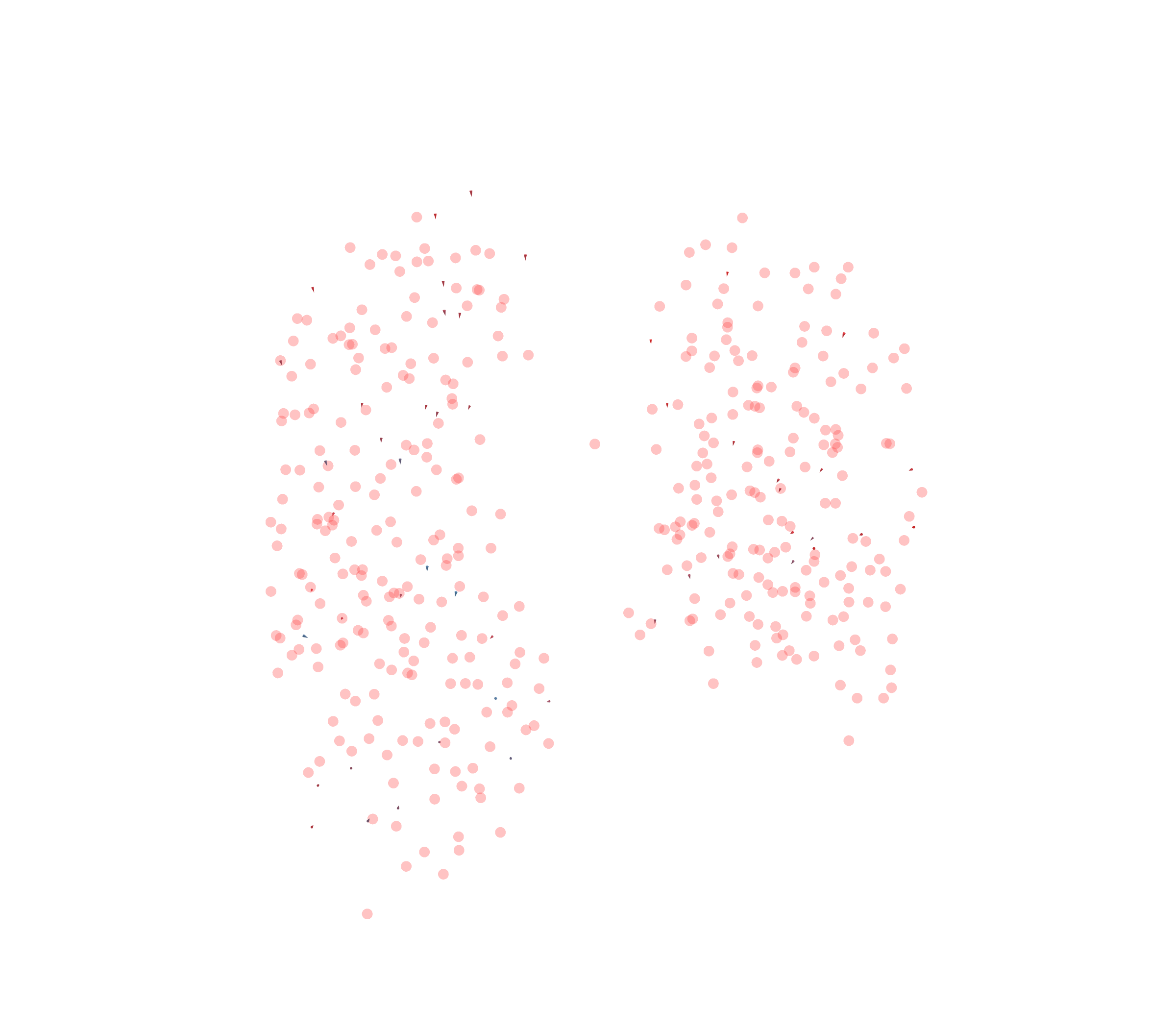 Displacement Vectors - Front View