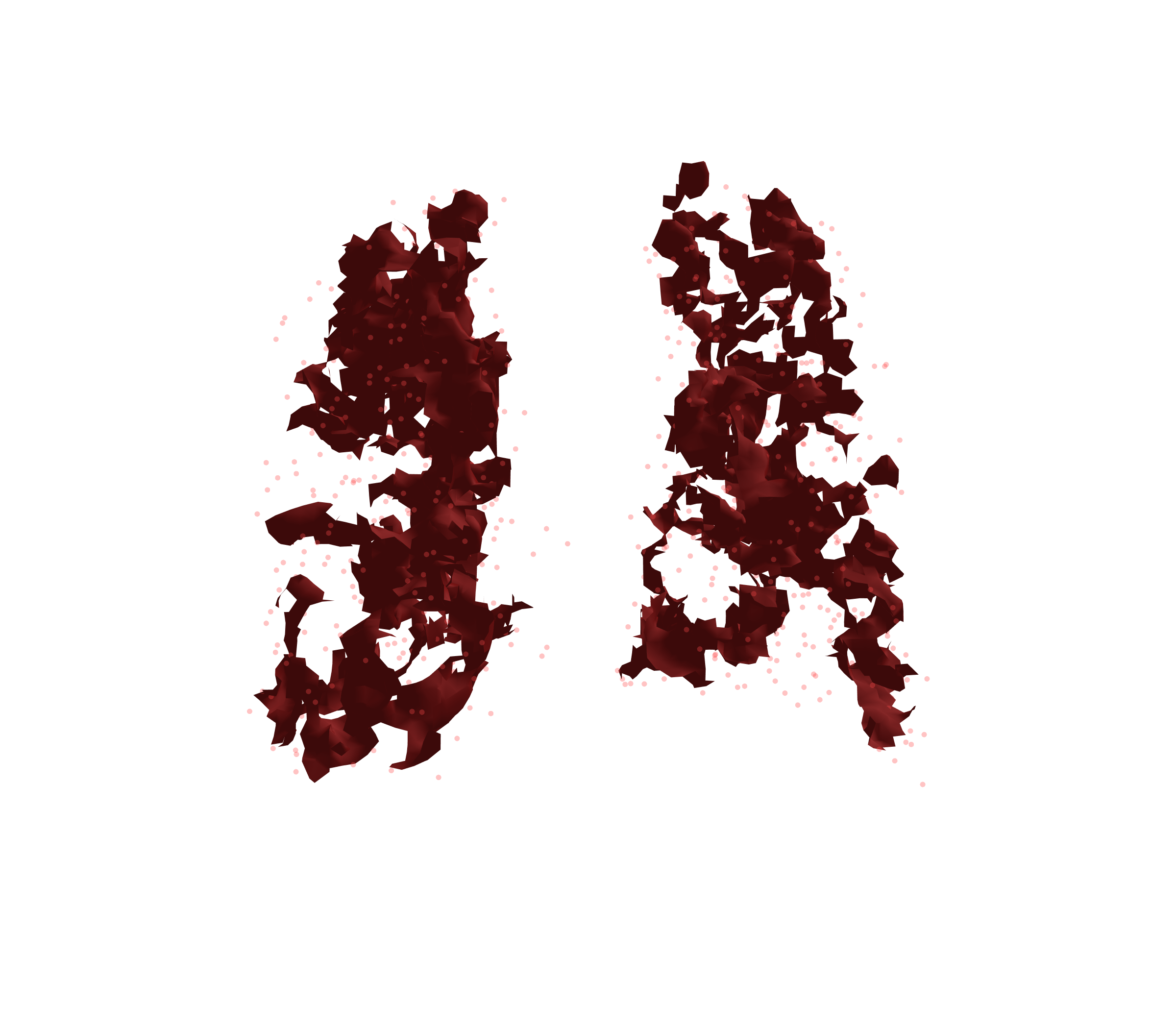 Combined Visualization (Expiration) - Back View