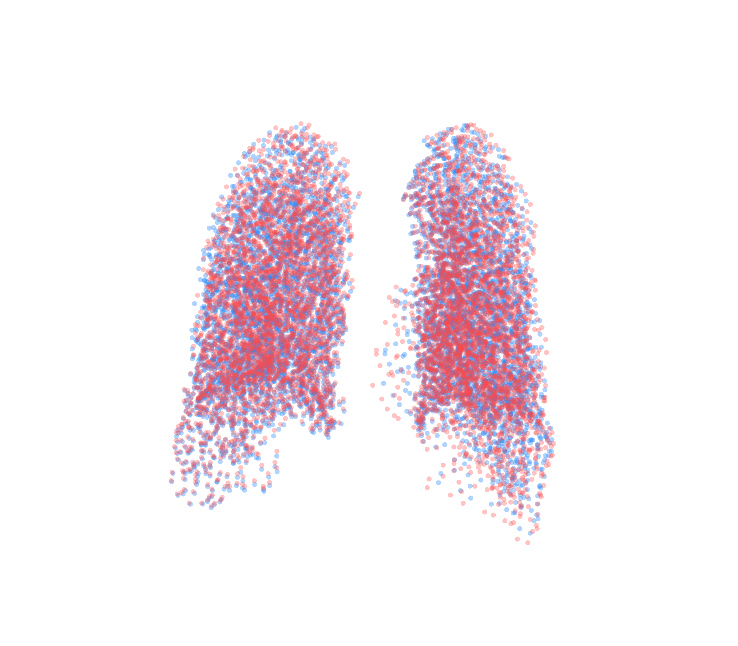 Point Cloud - Back View