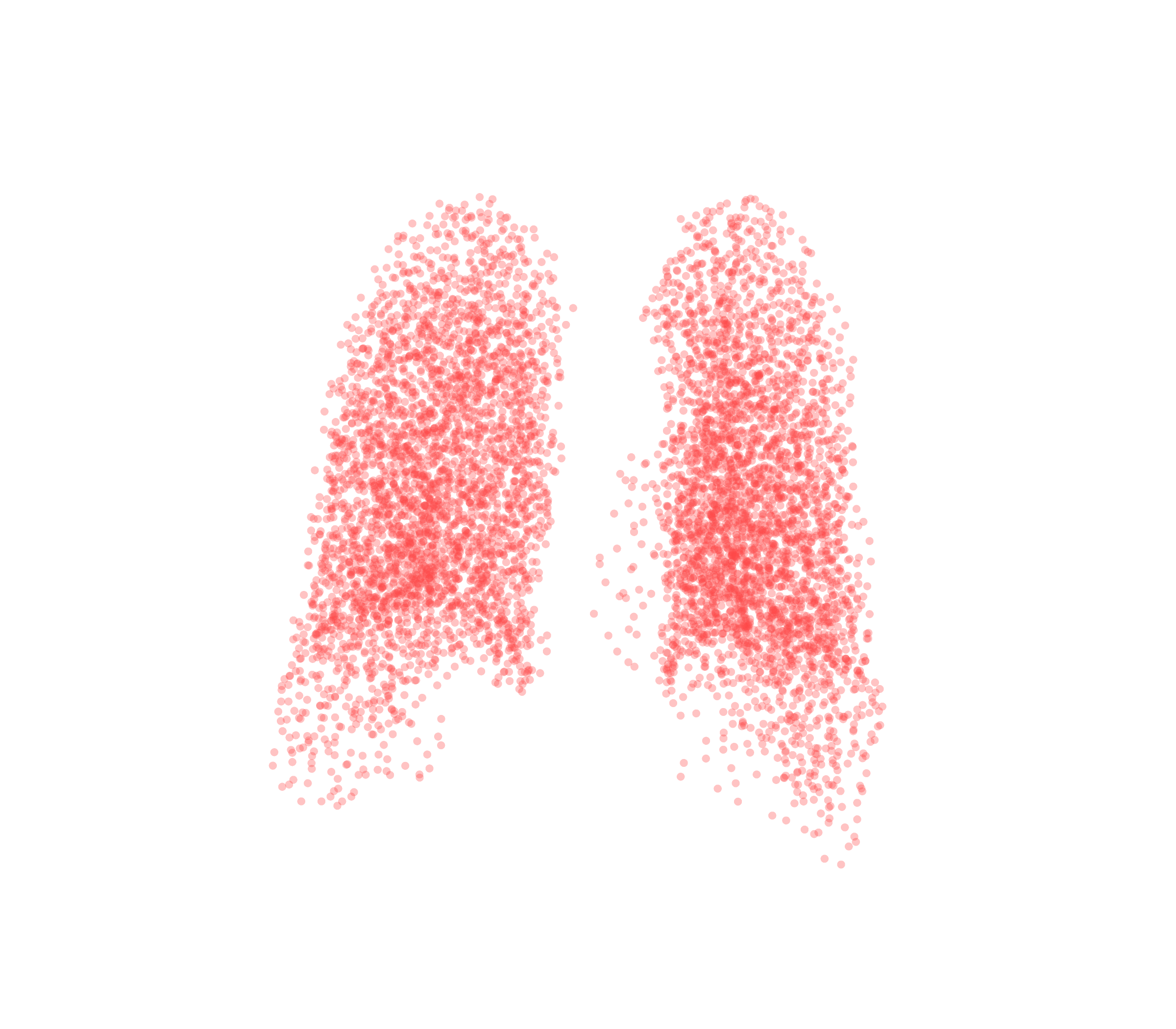 Point Cloud (Expiration) - Back View
