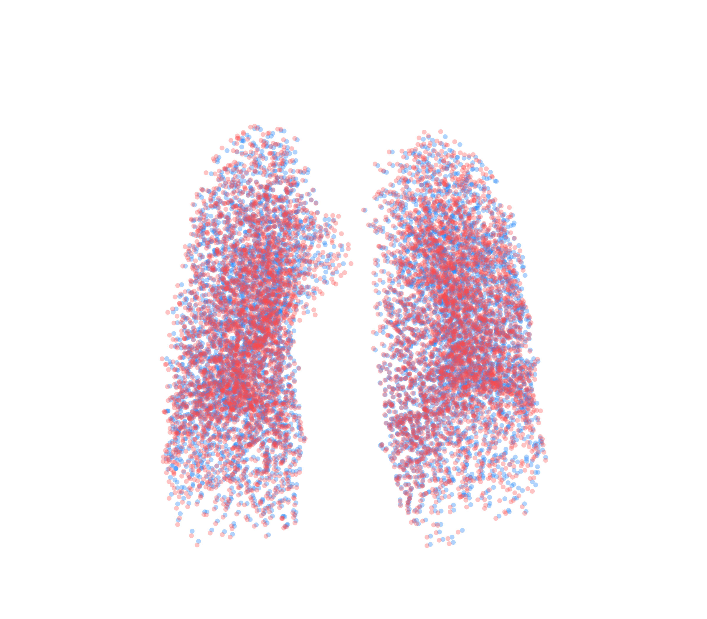 Point Cloud - Front View
