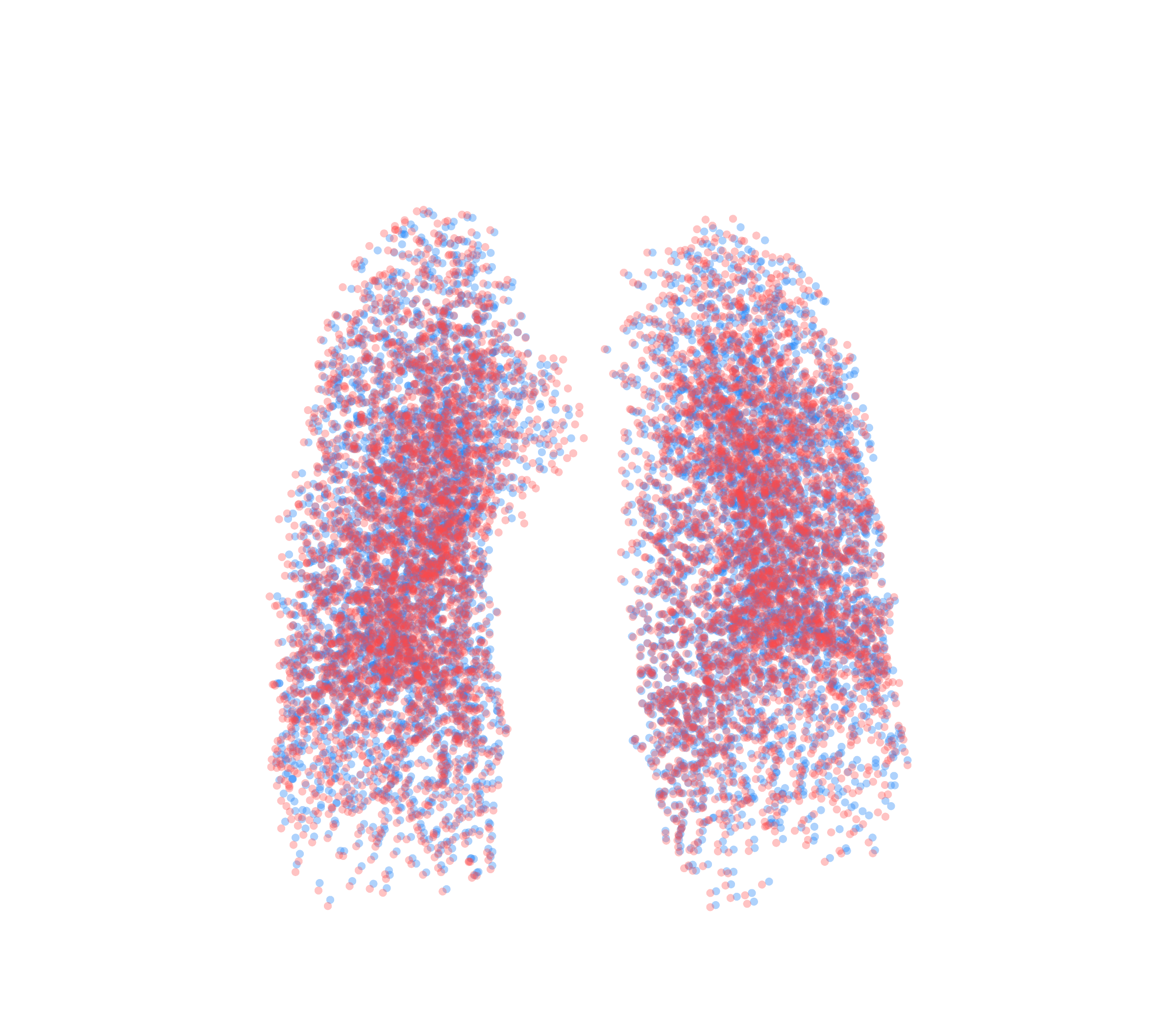 Point Cloud - Front View