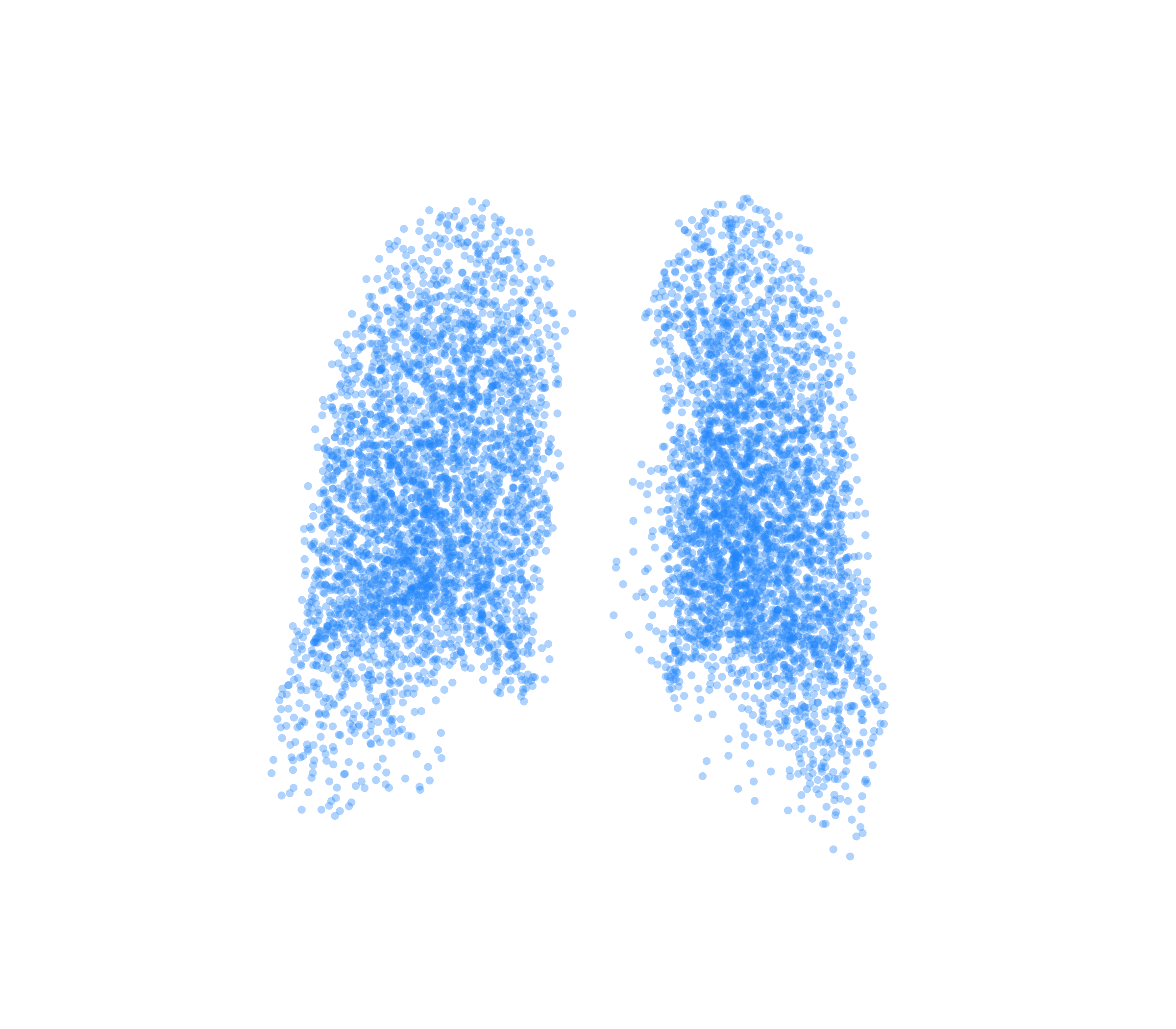 Point Cloud (Inspiration) - Back View