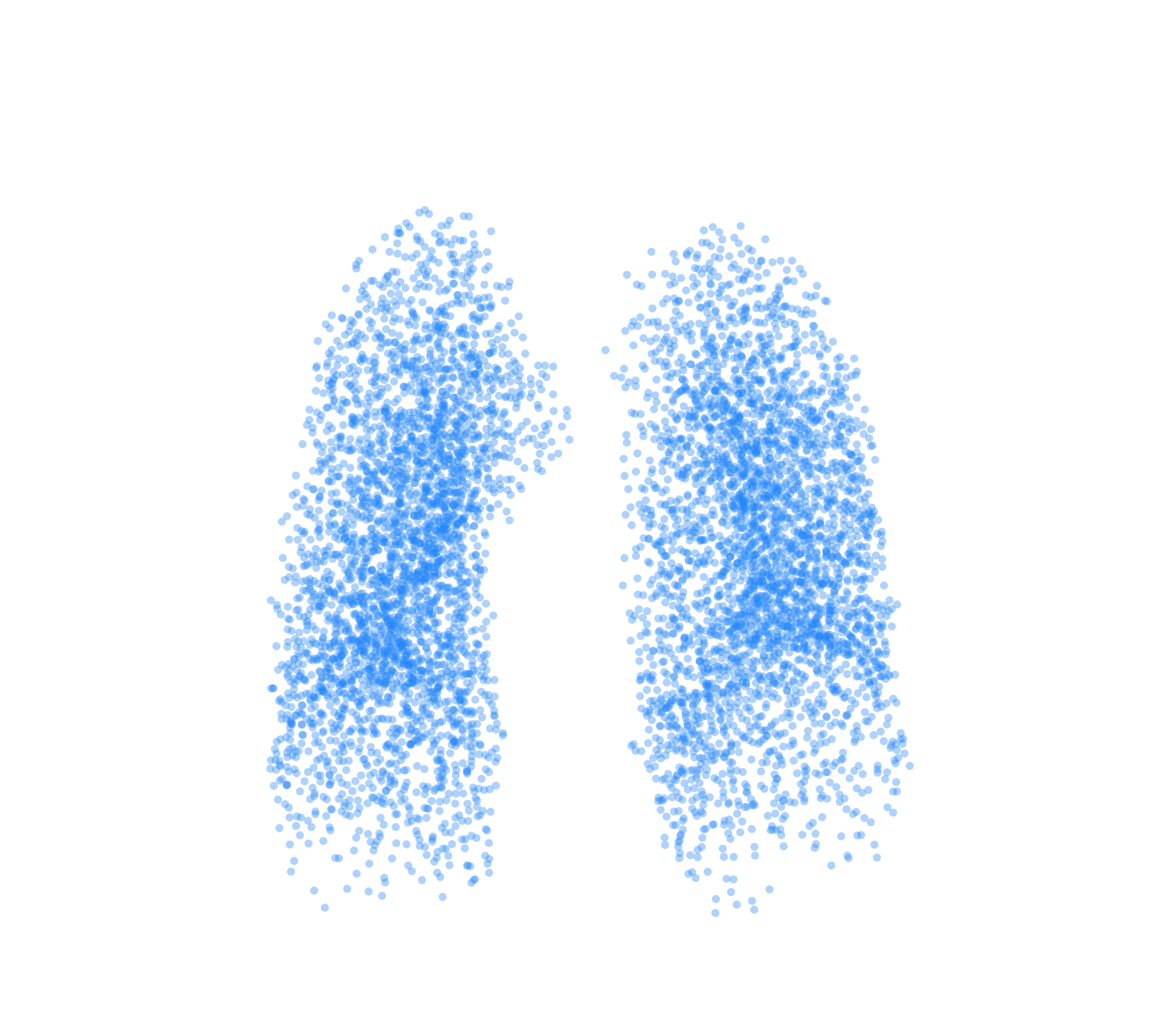 Point Cloud (Inspiration) - Front View