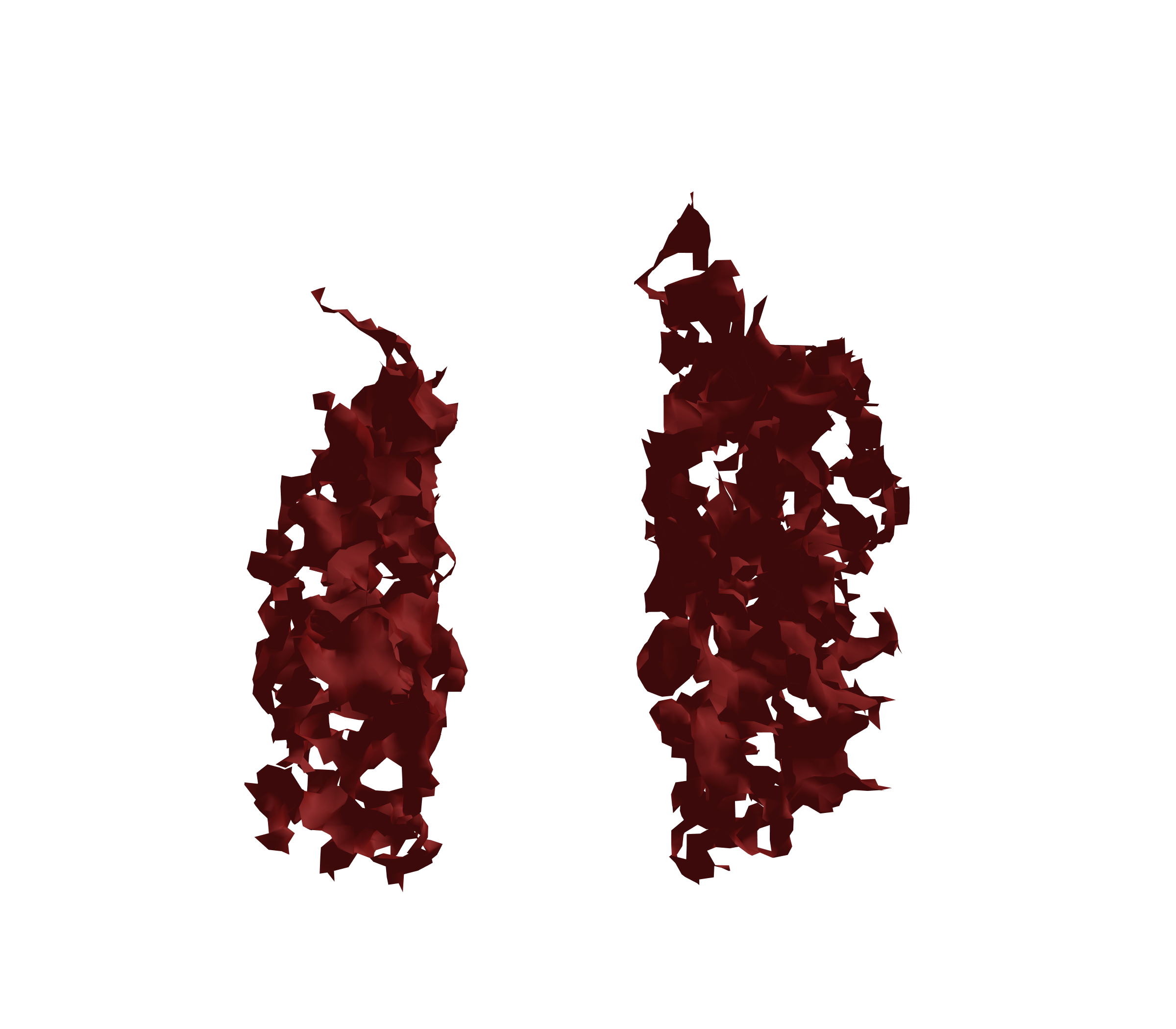 Surface Mesh (Expiration) - Front View