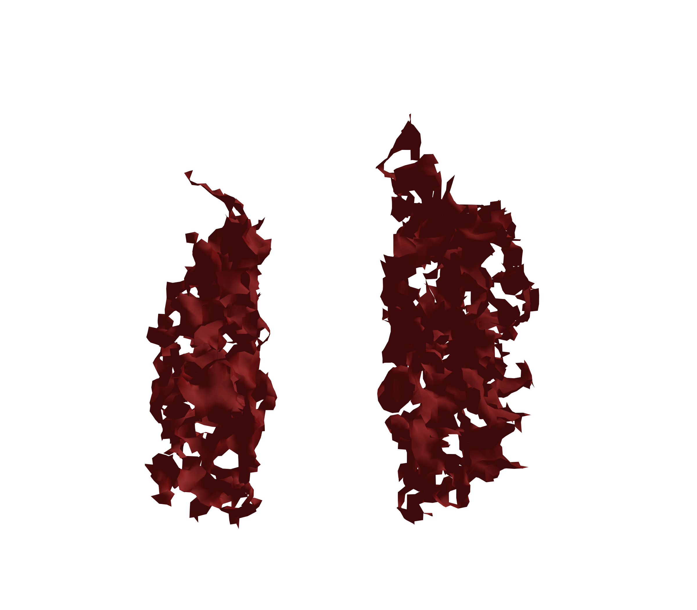 Surface Mesh (Expiration) - Front View