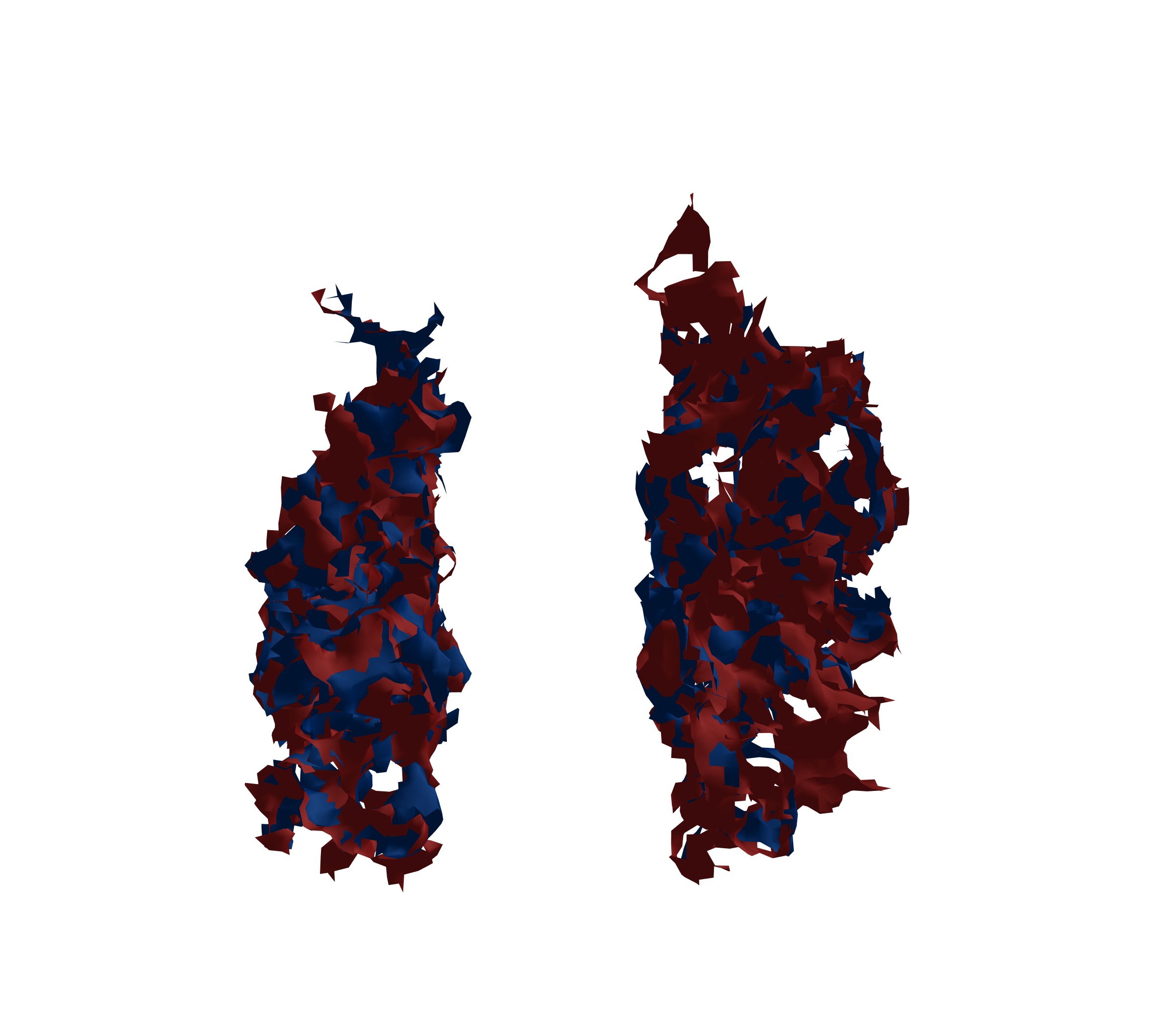 Surface Mesh - Front View