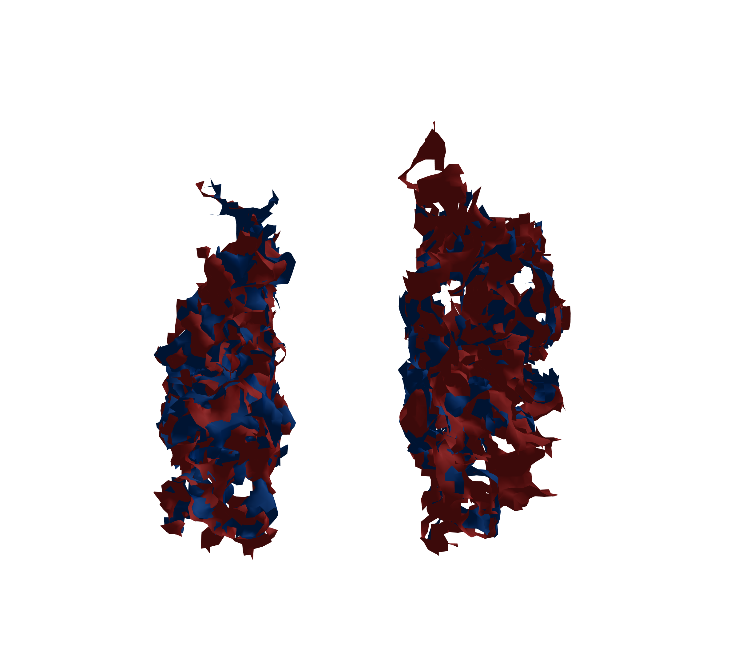 Surface Mesh - Front View