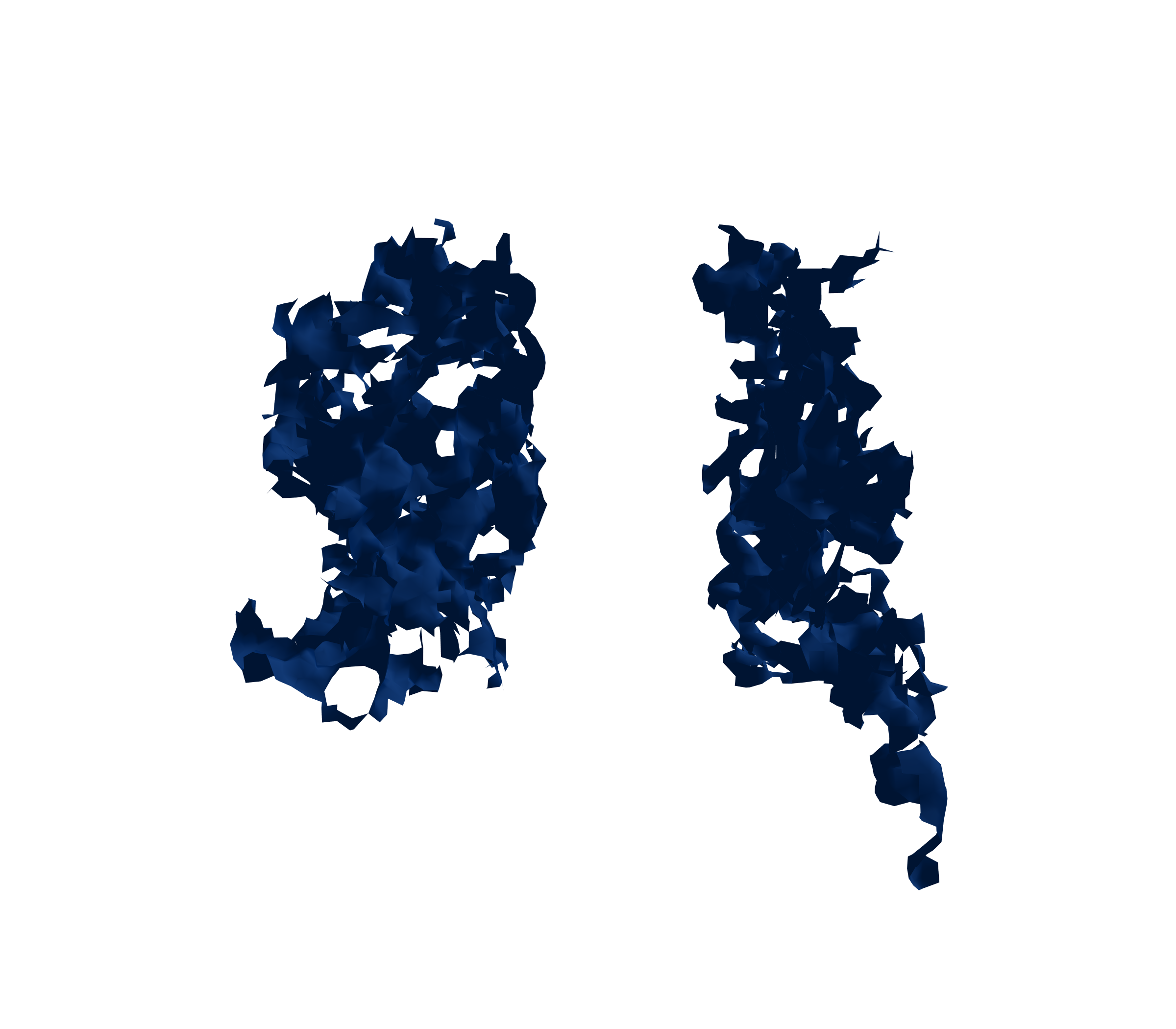 Surface Mesh (Inspiration) - Back View