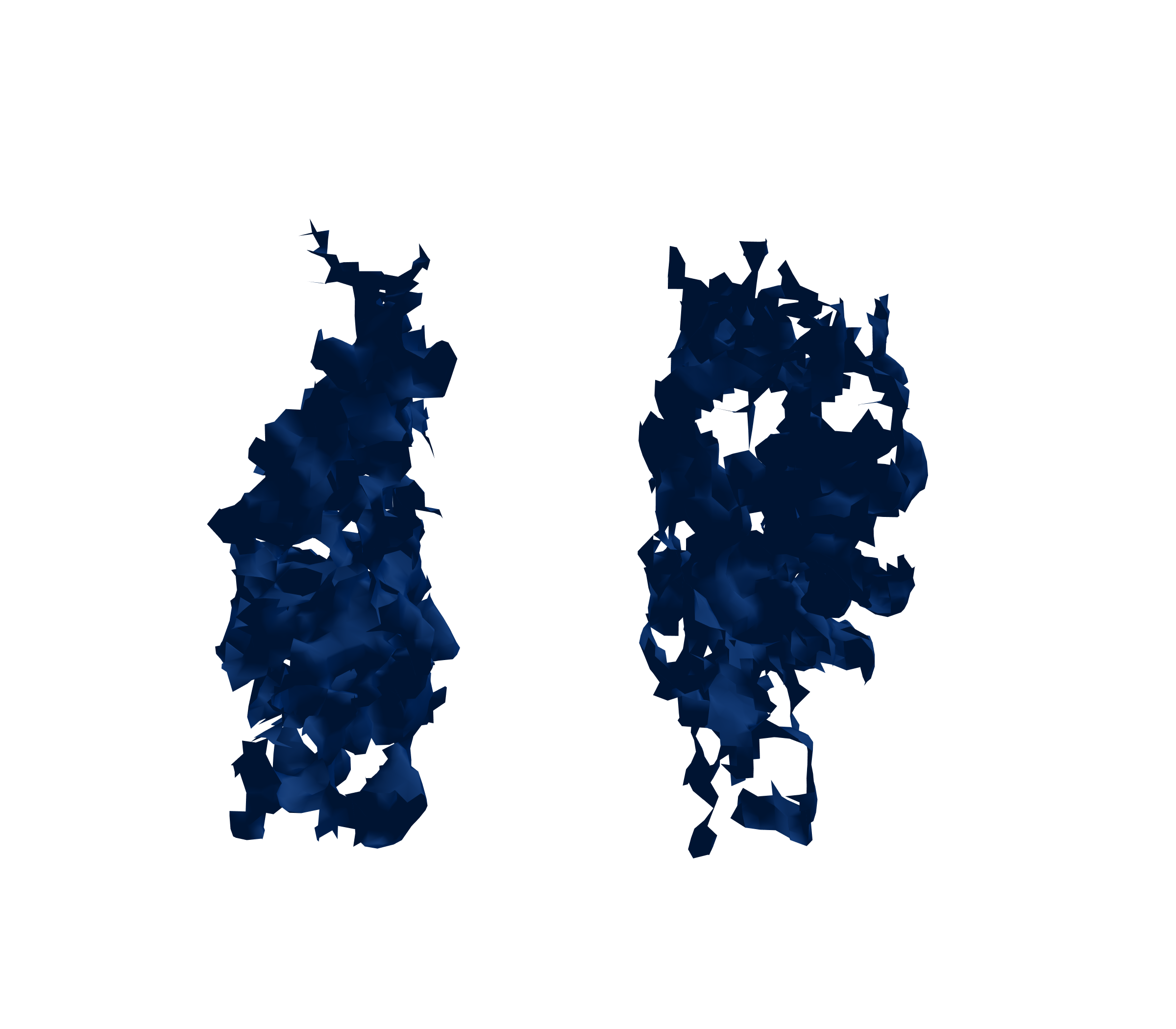 Surface Mesh (Inspiration) - Front View