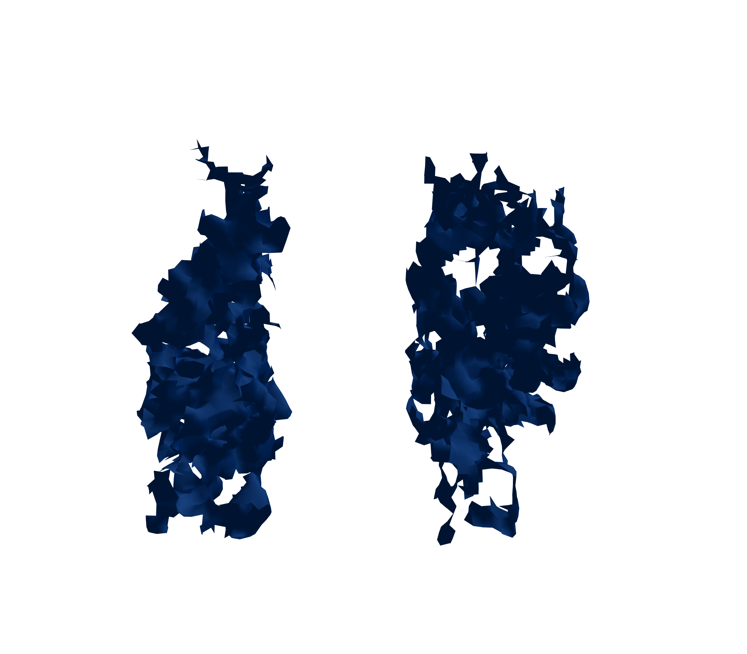 Surface Mesh (Inspiration) - Front View