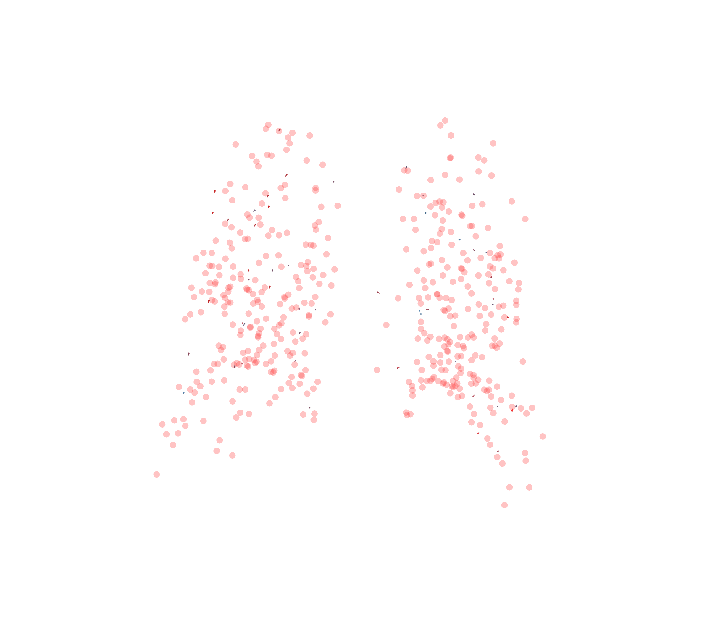 Displacement Vectors - Back View